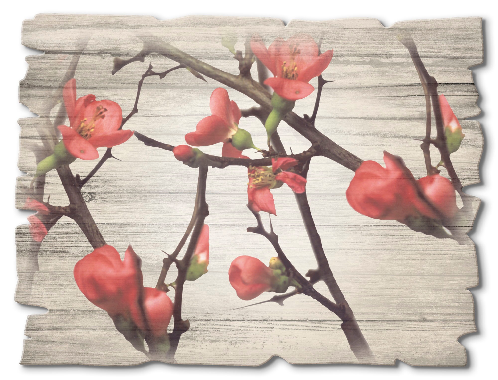 Image of Artland Holzbild »Zweige & Holz«, Bäume, (1 St.) bei Ackermann Versand Schweiz