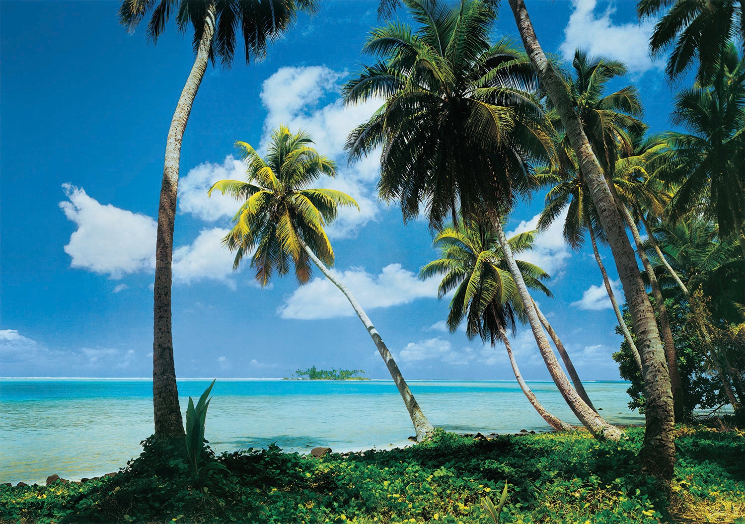 Image of Papermoon Fototapete »Tahiti« bei Ackermann Versand Schweiz