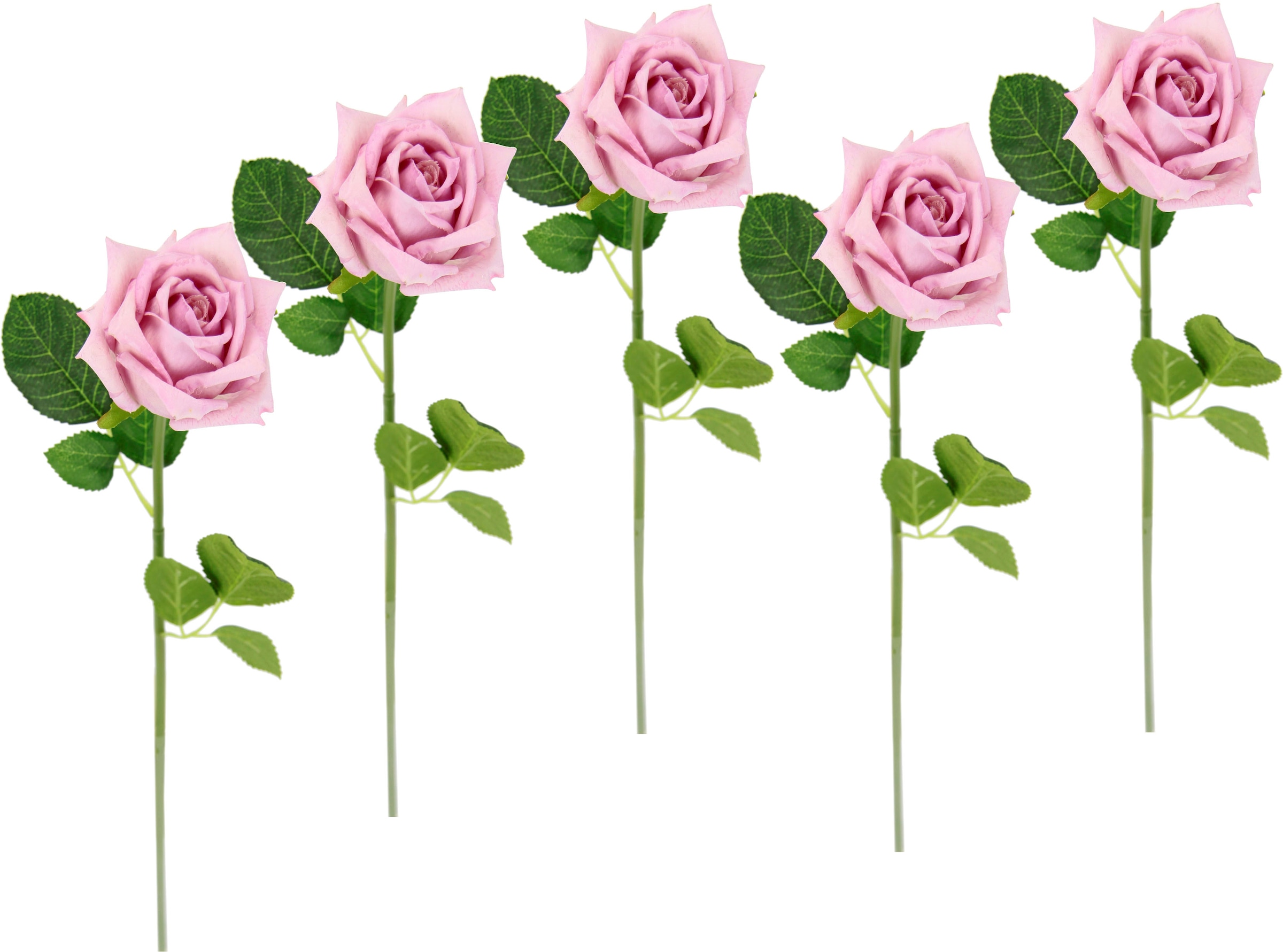 I.GE.A. Kunstblume »Rose«, 5er Bouquet, Seidenrosen, Kunstzweig, Kunstrose günstig künstliche Rosen, kaufen Set