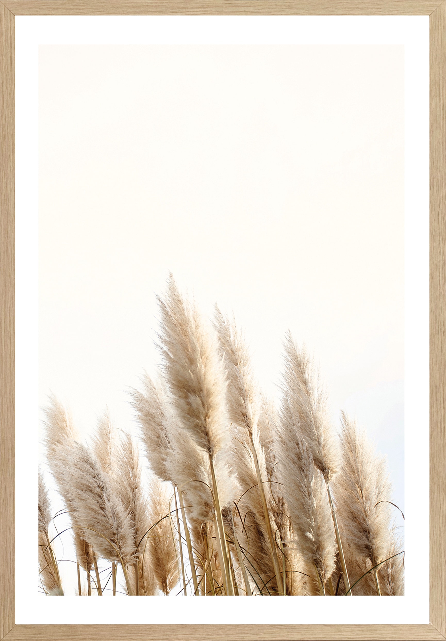 günstig Bild cm BxH: St.), (1 mit kaufen 50x70 Gräser, Bönninghoff Rahmen »Trockenblumen«,