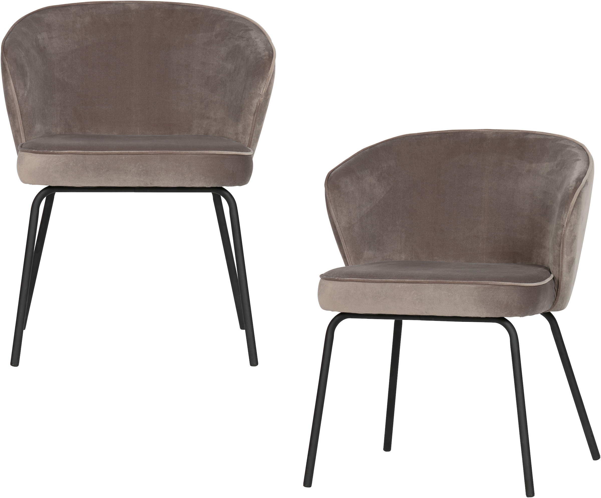Image of WOOOD Esszimmerstuhl "Admit Bezug mit Metallgestell und runde Formen H 78 x B 60 x T 58 cm" (Set) 2 Stk.(Set, 2 St) Velvet, Tragkraft 150 kg, schwarzen Beinen, pfleigleicht