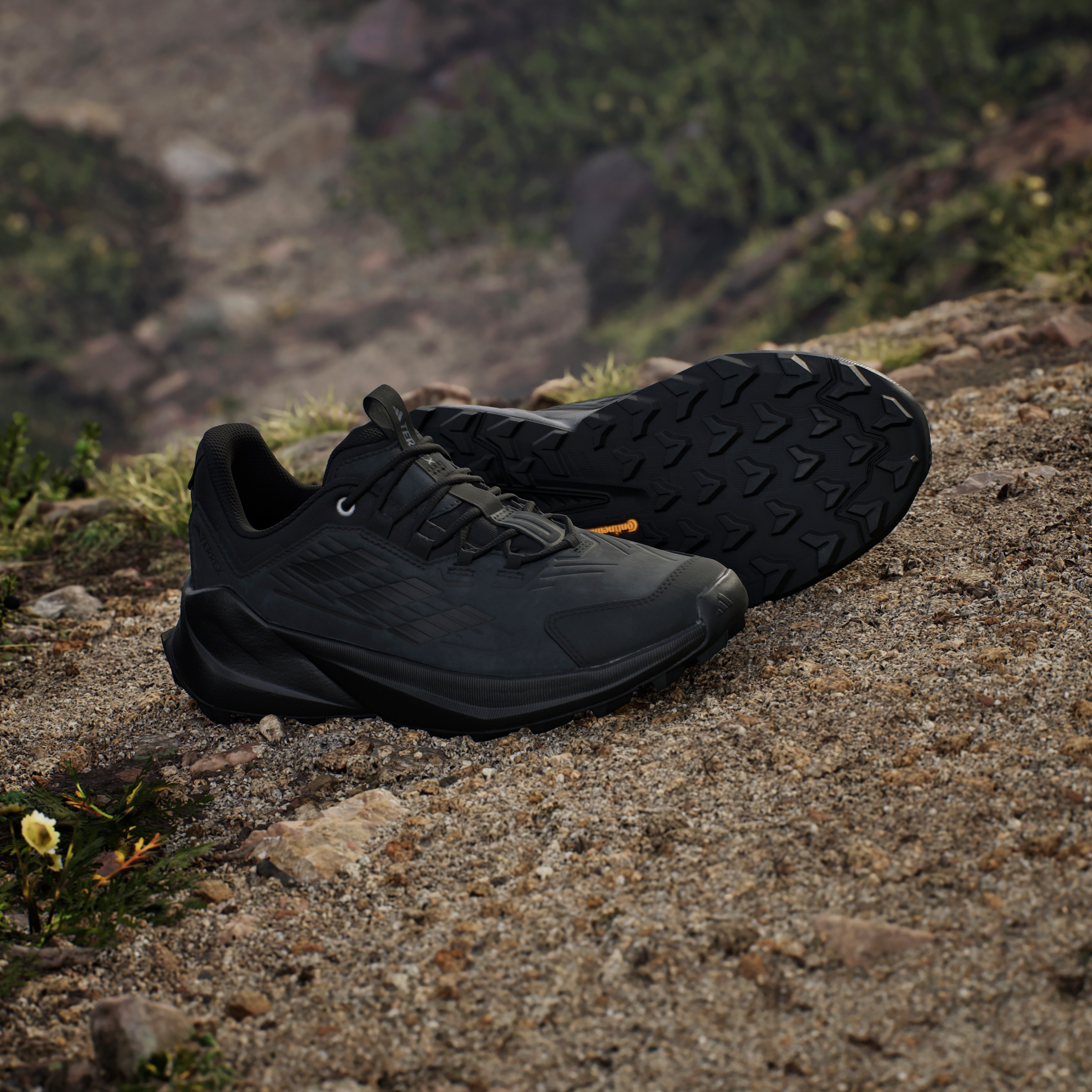 adidas TERREX Wanderschuh »TERREX TRAILMAKER 2.0 LEATHER«