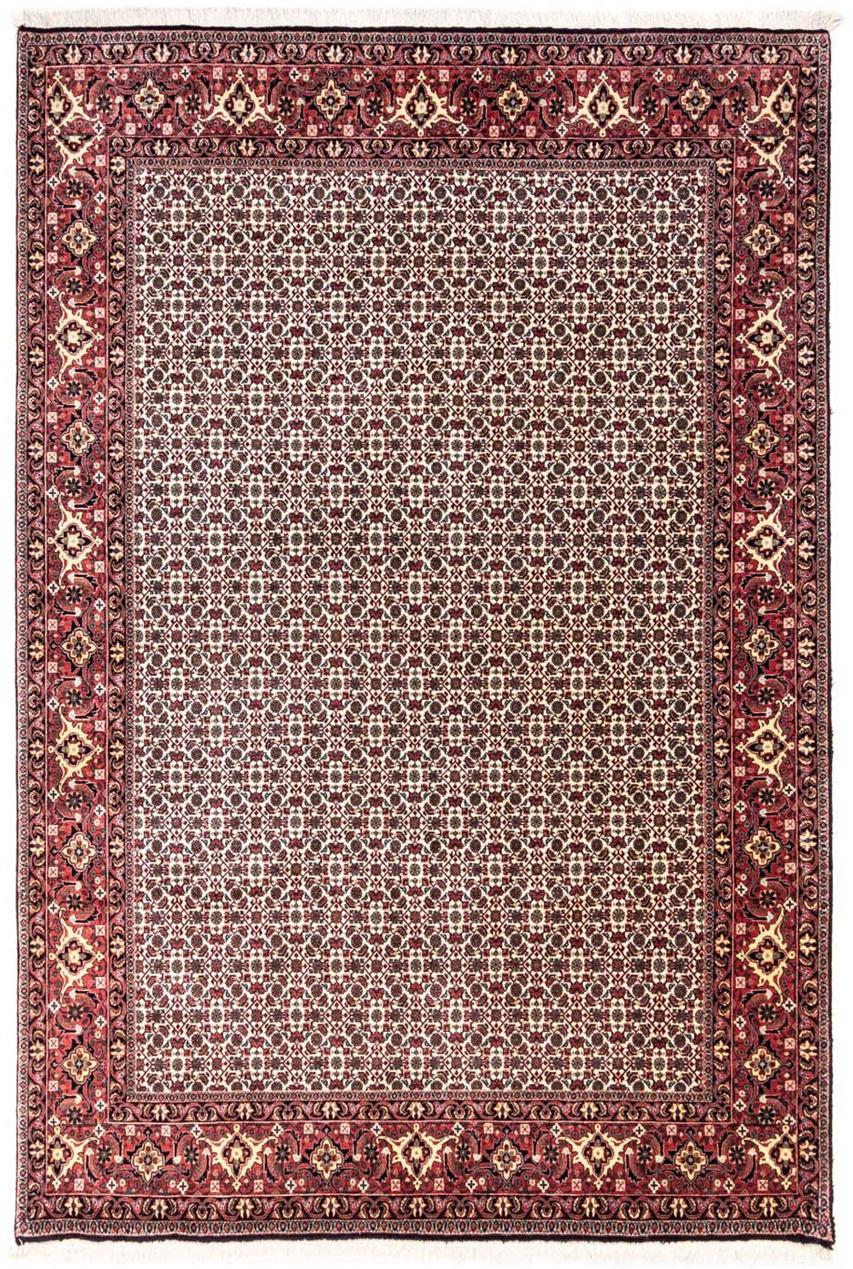 Image of morgenland Wollteppich »Bidjar Takab Durchgemustert Beige 296 x 204 cm«, rechteckig, 1,3 mm Höhe, Unikat mit Zertifikat bei Ackermann Versand Schweiz