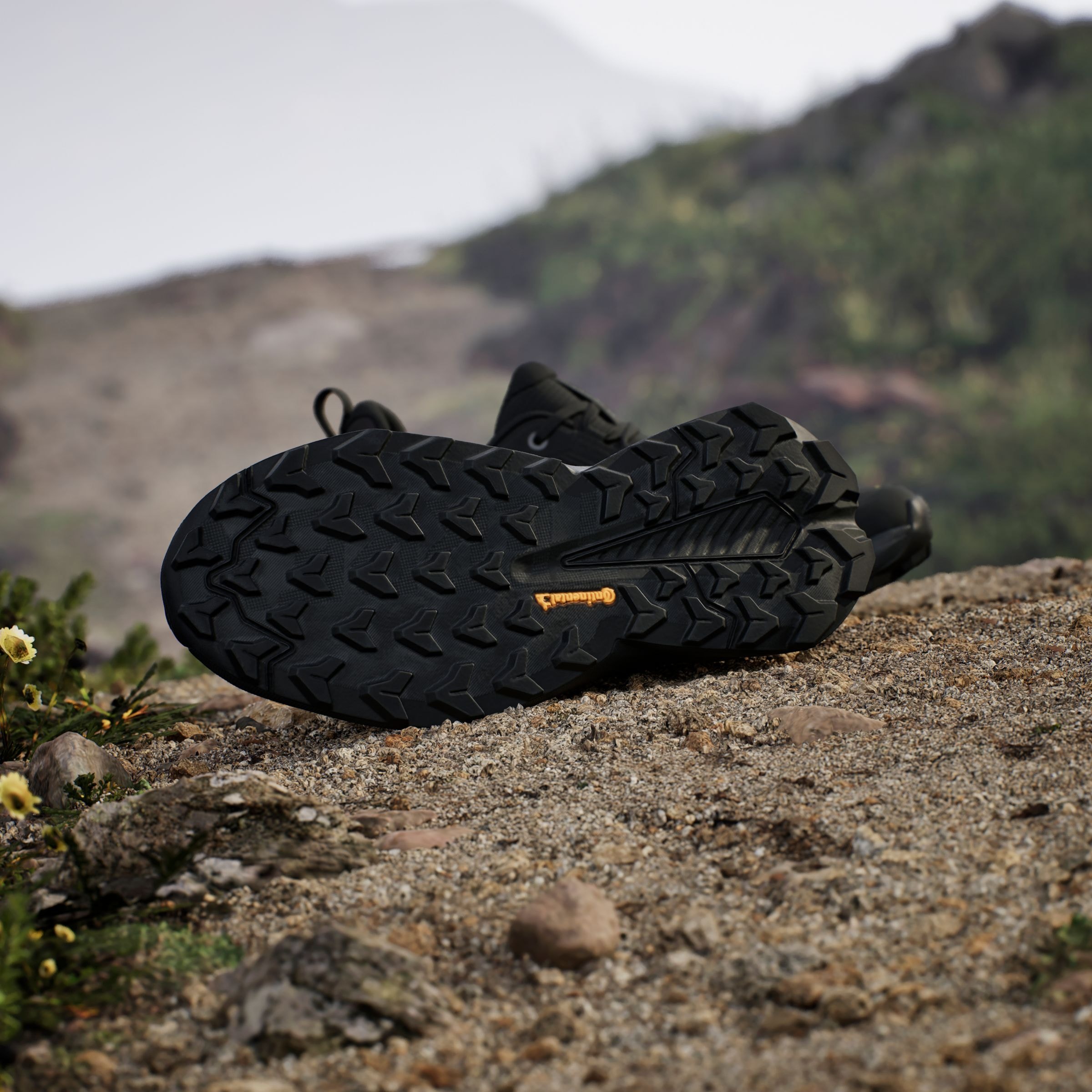 adidas TERREX Wanderschuh »TERREX TRAILMAKER 2.0«