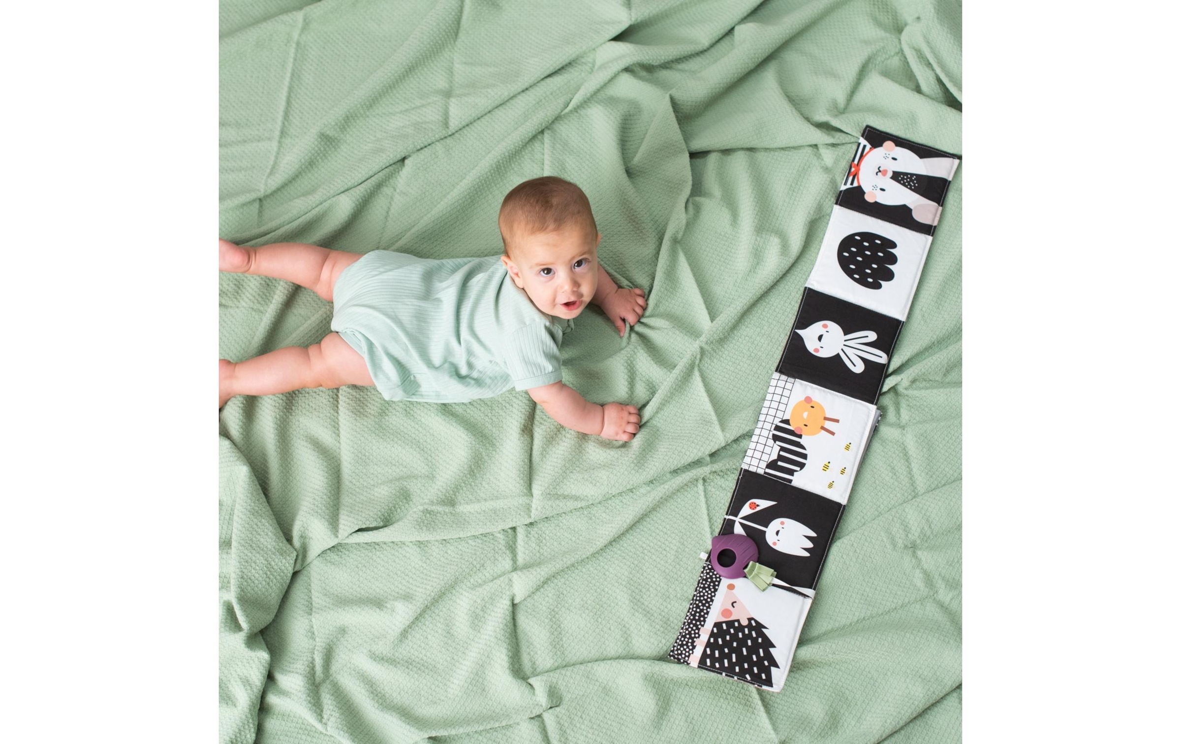 TAF TOYS Jouets éducatifs »Urban Garden 0M+«