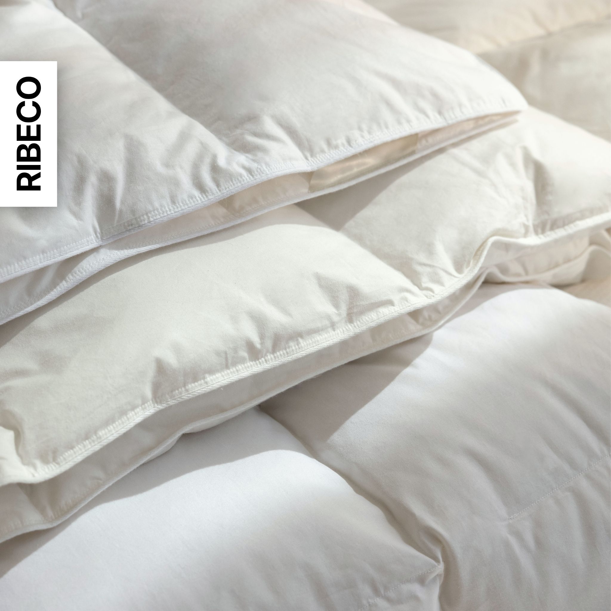RIBECO Couette en plumes »Laram, Bettdecken für Sommer oder Winter, Made in Germany« léger Füllung 90 % plumes, 10 % duvet 1 cuis tlg. Excellent rapport qualité-prix, couette 135x200 cm ou 155x220 cm, couverture
