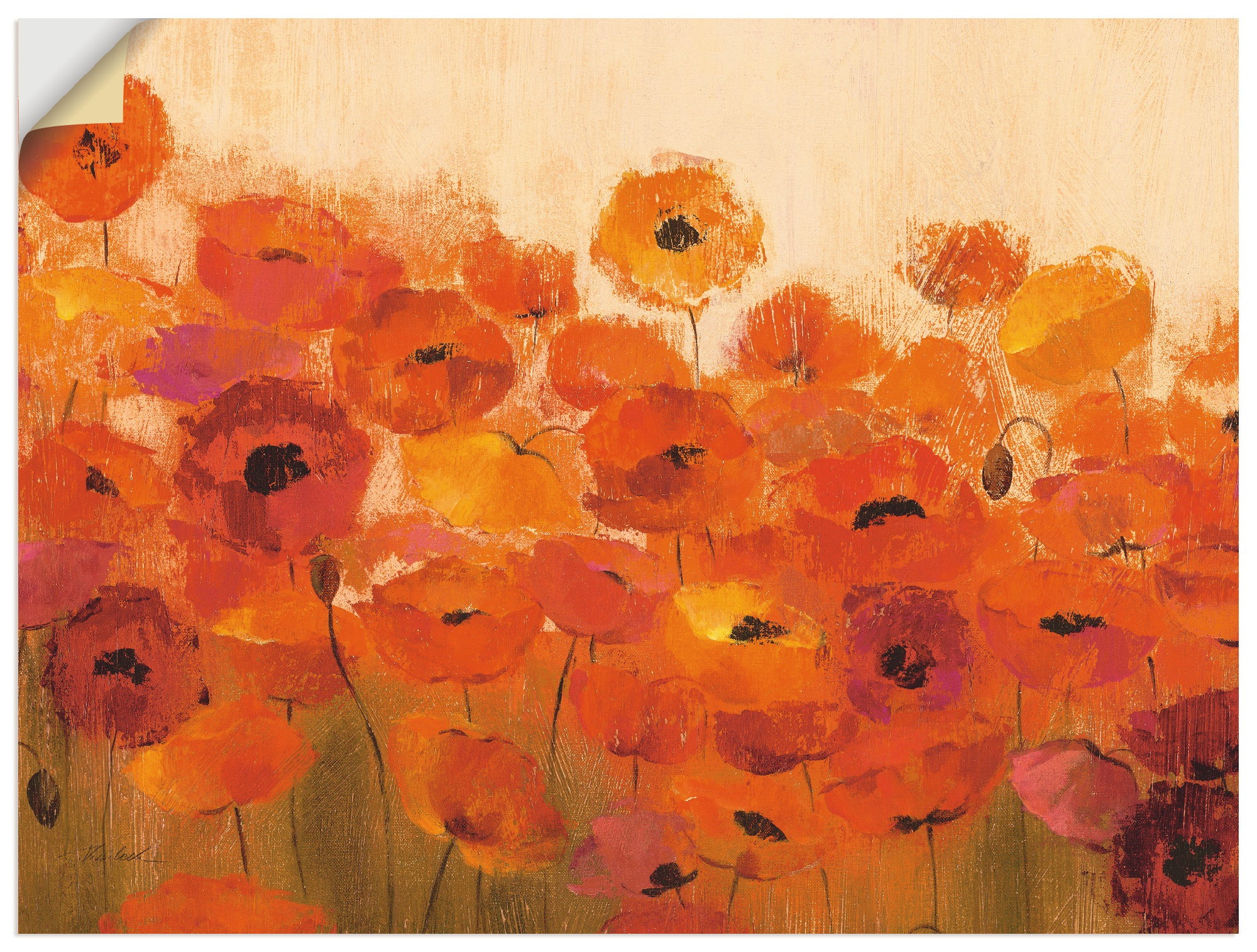 Image of Artland Wandbild »Sommer Mohn«, Blumen, (1 St.), in vielen Grössen & Produktarten -Leinwandbild, Poster, Wandaufkleber / Wandtattoo auch für Badezimmer geeignet bei Ackermann Versand Schweiz