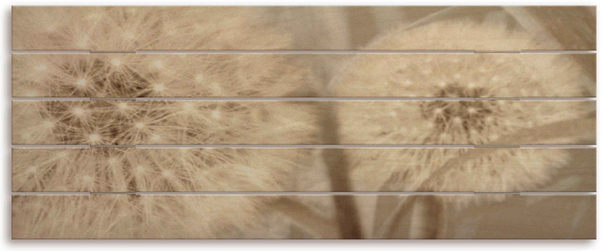 Image of Artland Holzbild »Pusteblume in Sepia«, Blumenbilder, (1 St.) bei Ackermann Versand Schweiz