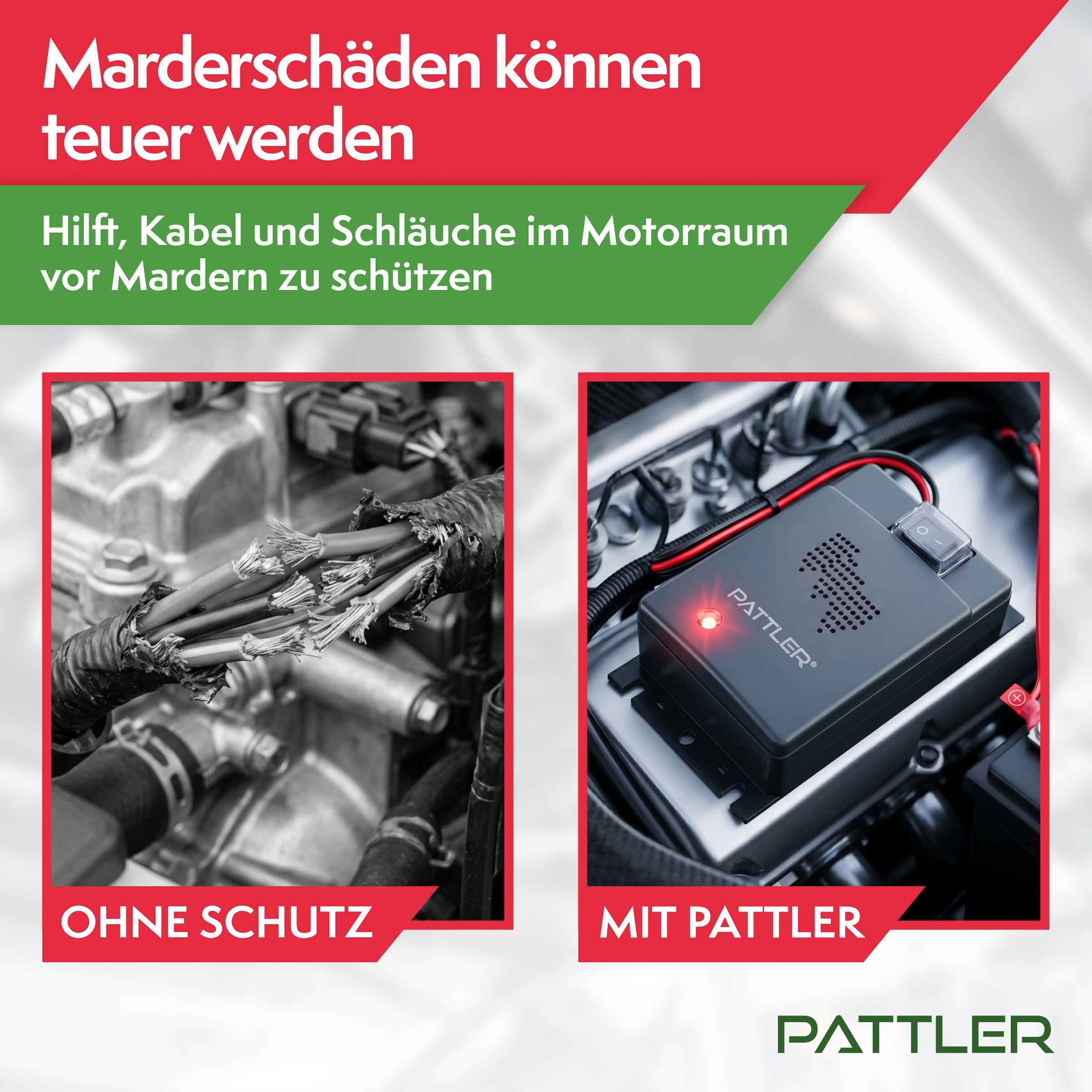 Pattler Ultraschall-Tierabwehr »Marderschreck 12 Volt fürs Auto« 1 Gerät