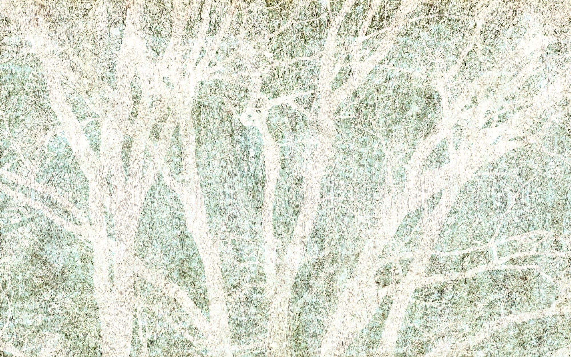 Image of Komar Vliestapete "Digitaldruck Vlies - Peaceful Place - Grösse 400 x 250 cm" bedruckt glatt Wohnzimmer, Schlafzimmer
