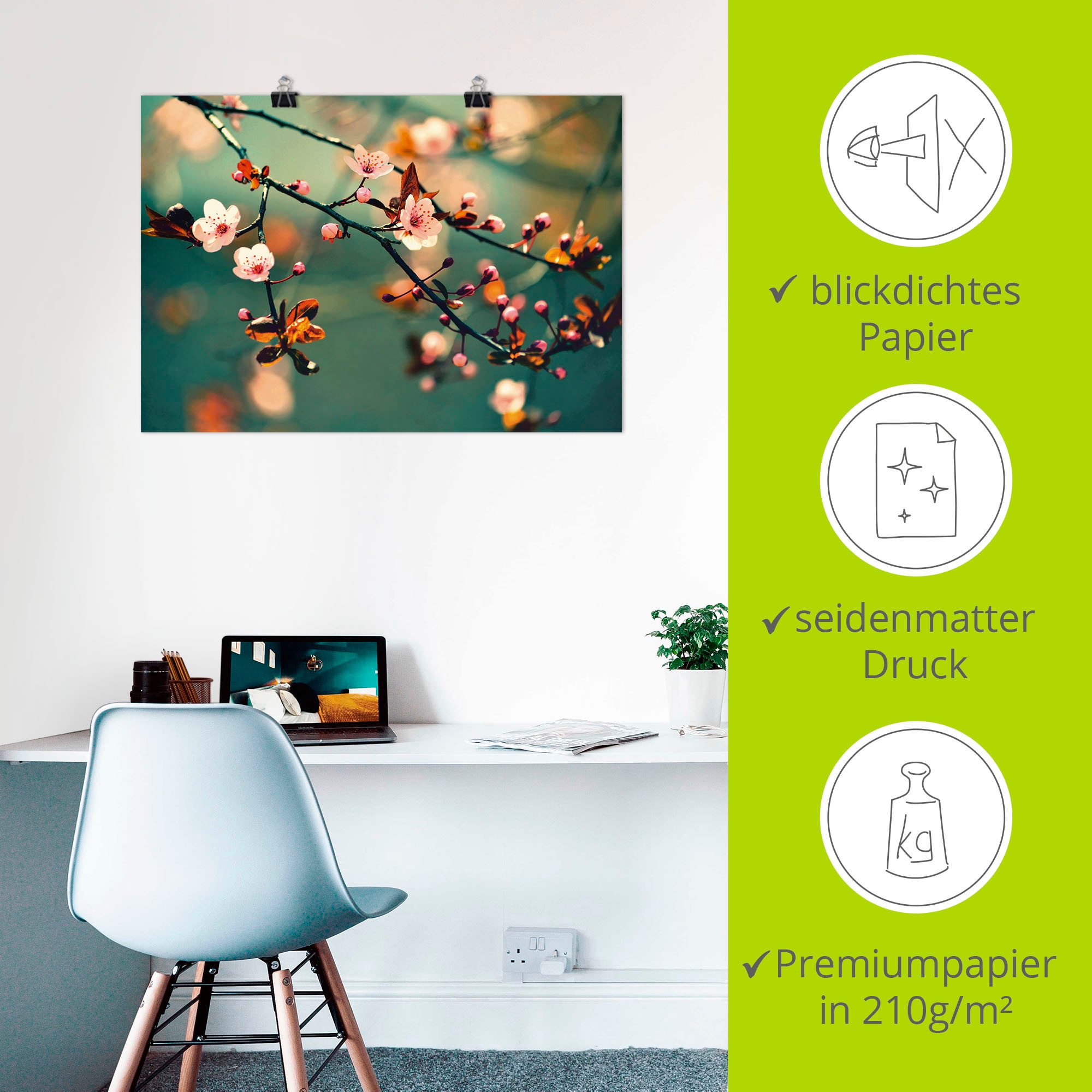 Artland Wandbild »Japanische Kirsch Sakura Blumen« 1 Stk. tlg. als Leinwandbild, Poster in verschied. Grössen