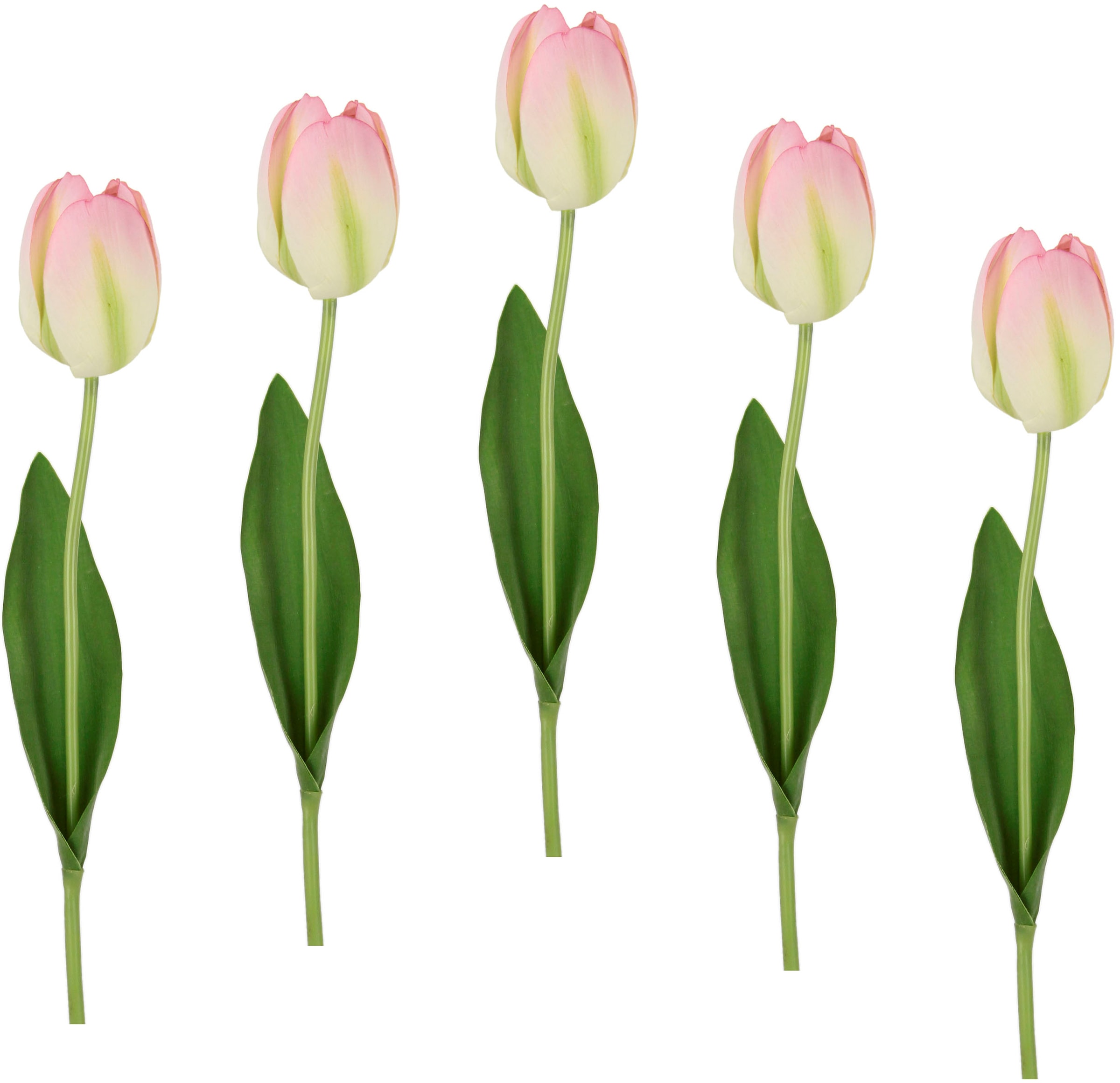 Stielblume kaufen jetzt Tulpen«, 5er I.GE.A. Kunstblumen, Kunstblume Set Tulpenknospen, »Real Touch künstliche