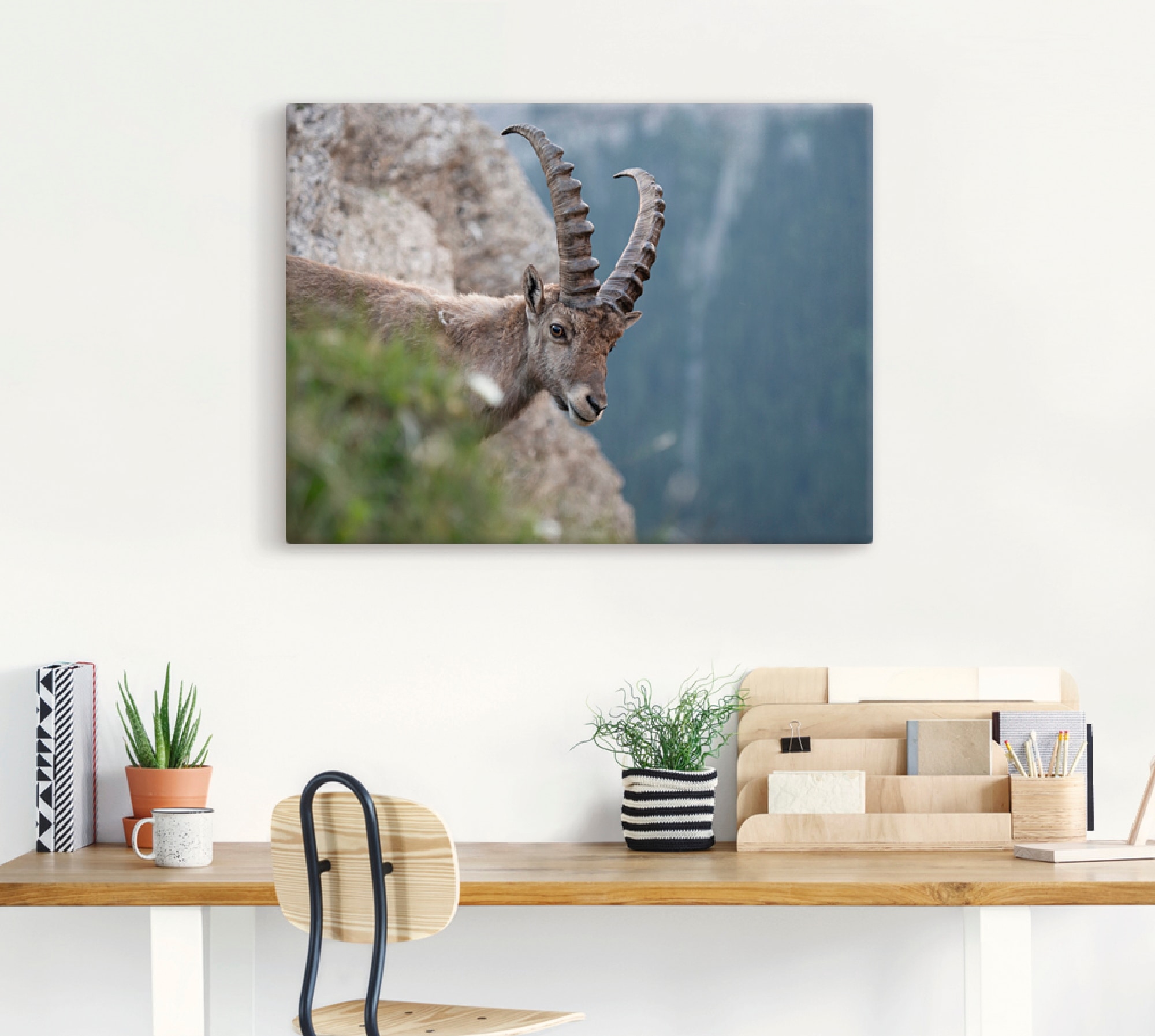 Artland Leinwandbild »Steinbock«, Wildtiere, (1 St.), auf Keilrahmen gespannt