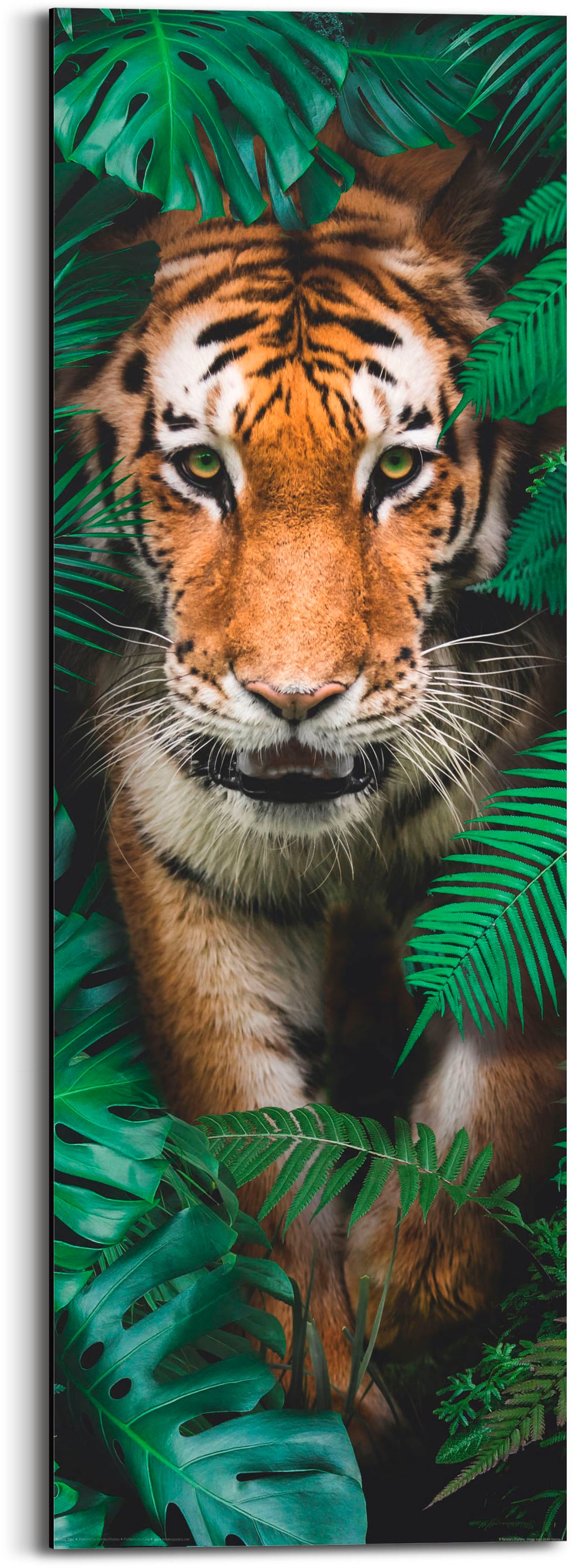 Image of Reinders Holzbild "Walking Tiger" 1 Stk. tlg.
