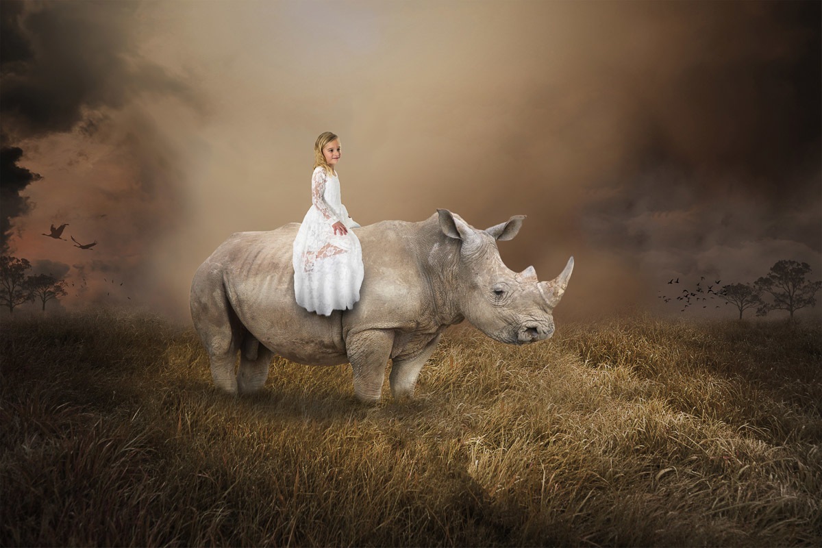 Image of Papermoon Fototapete »Surreales Mädchen, das Nashorn reitet«, samtig, Vliestapete, hochwertiger Digitaldruck bei Ackermann Versand Schweiz