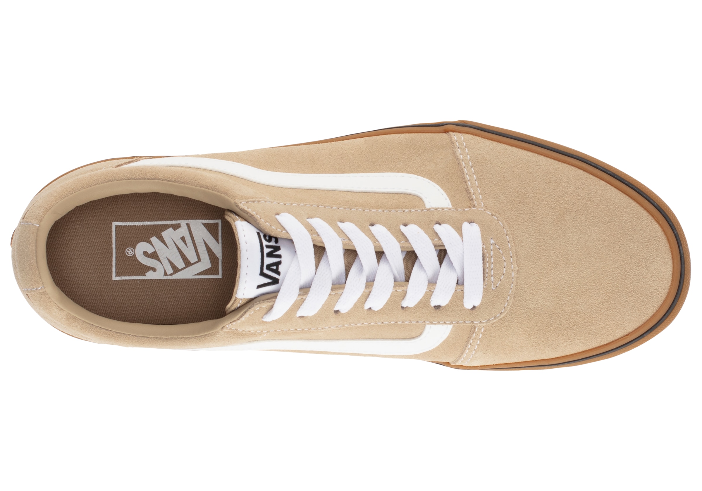 Vans Sneaker »Ward«