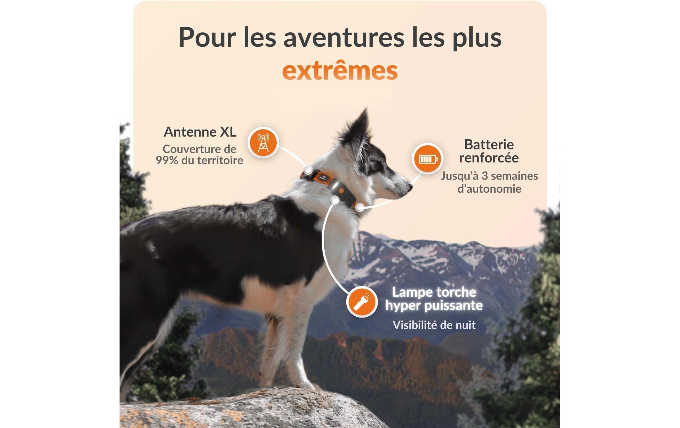   traceur GPS pour chiens »Weenect für Hunde XT mit Halsband«