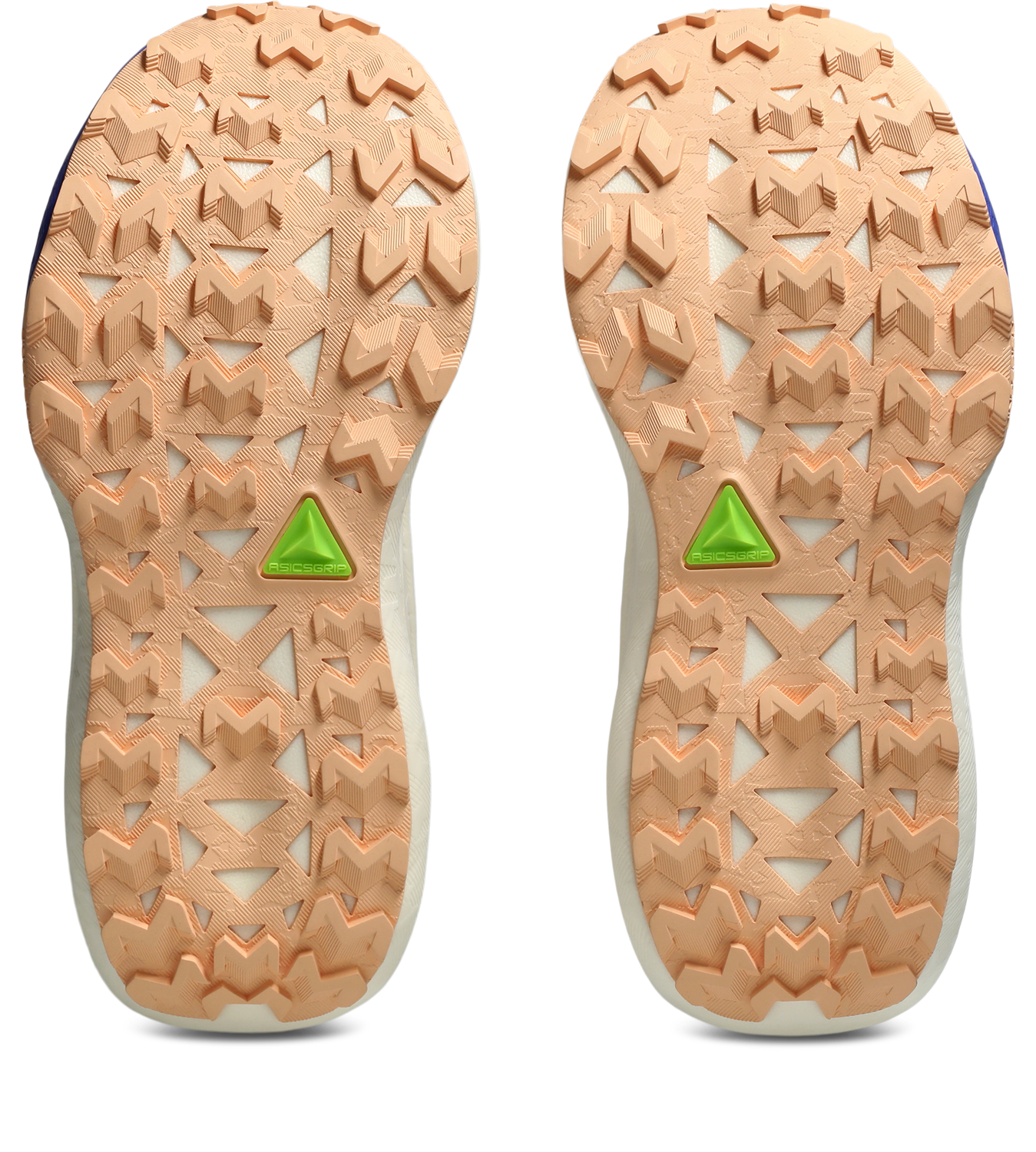 Asics Trailrunningschuh »TRABUCO MAX 5«