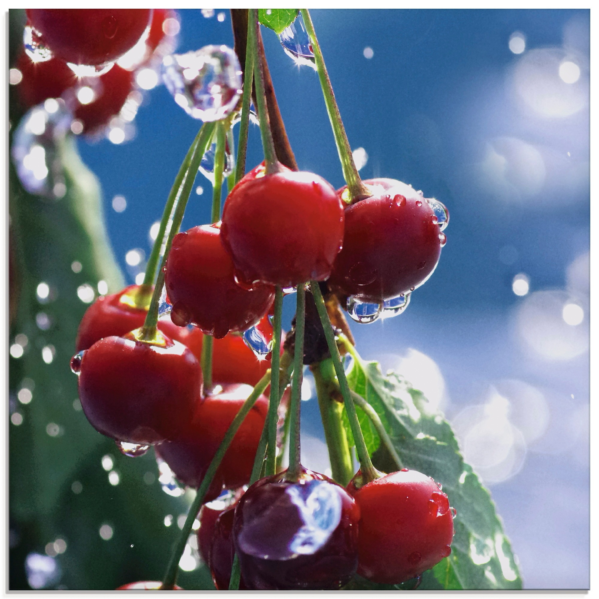 Image of Artland Glasbild "Rote Kirschen im Sommerregen" Lebensmittel 1 Stk. tlg. in verschiedenen Grössen