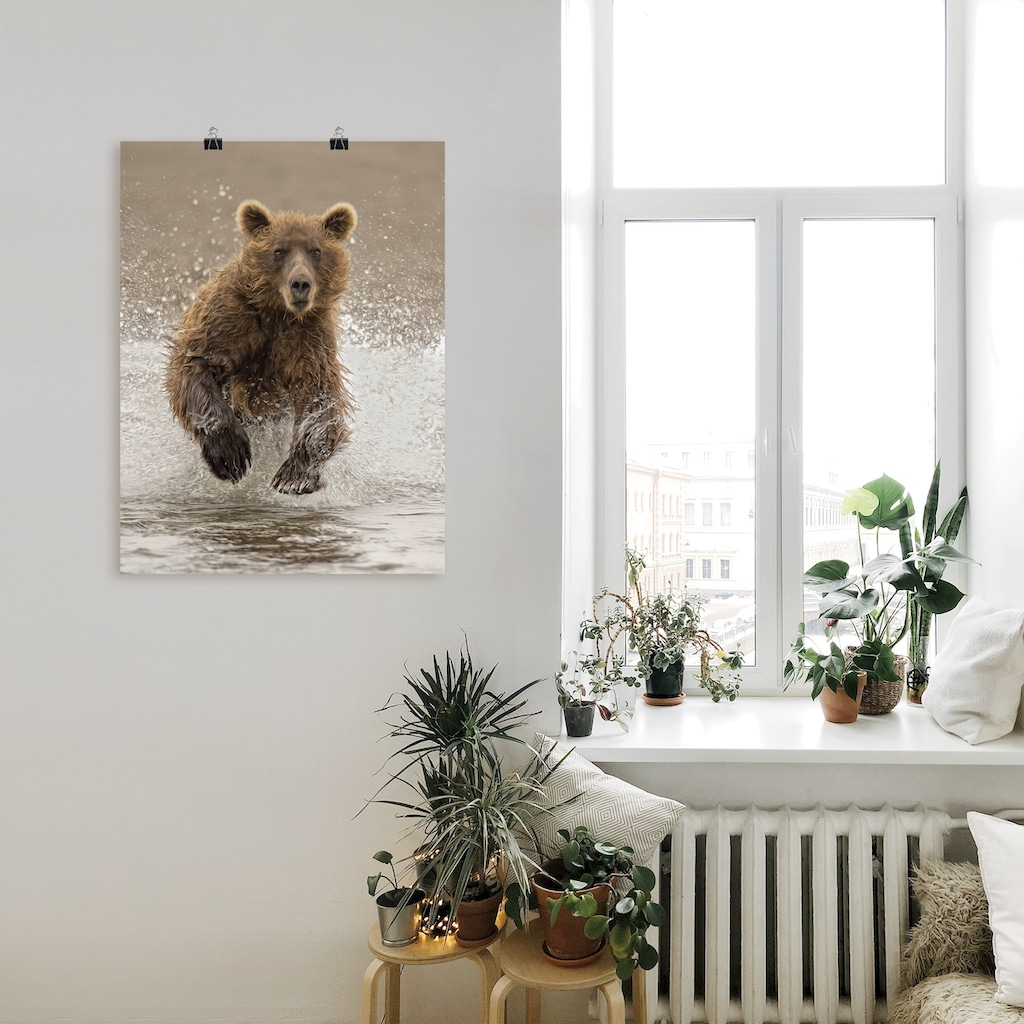 Artland Poster »Bären beim Spielen II«, Wildtiere, (1 St.)