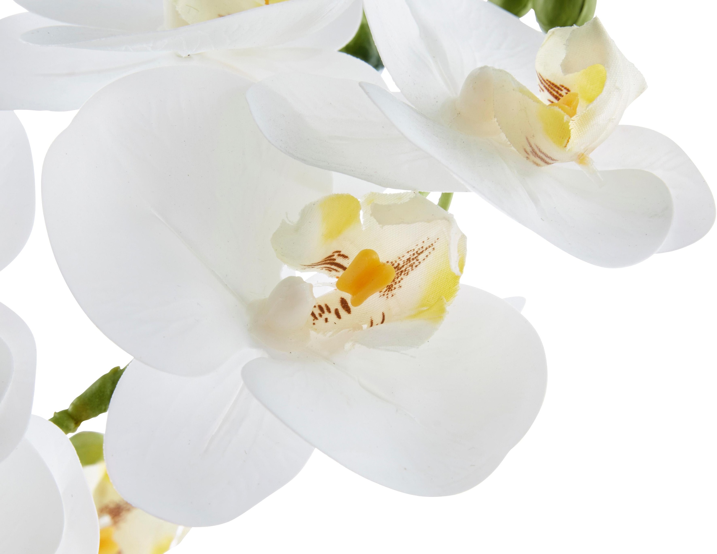Kunstpflanze weiße Orchidee
