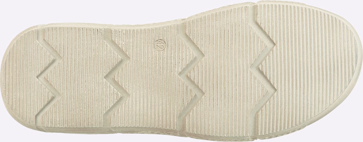   Slipper