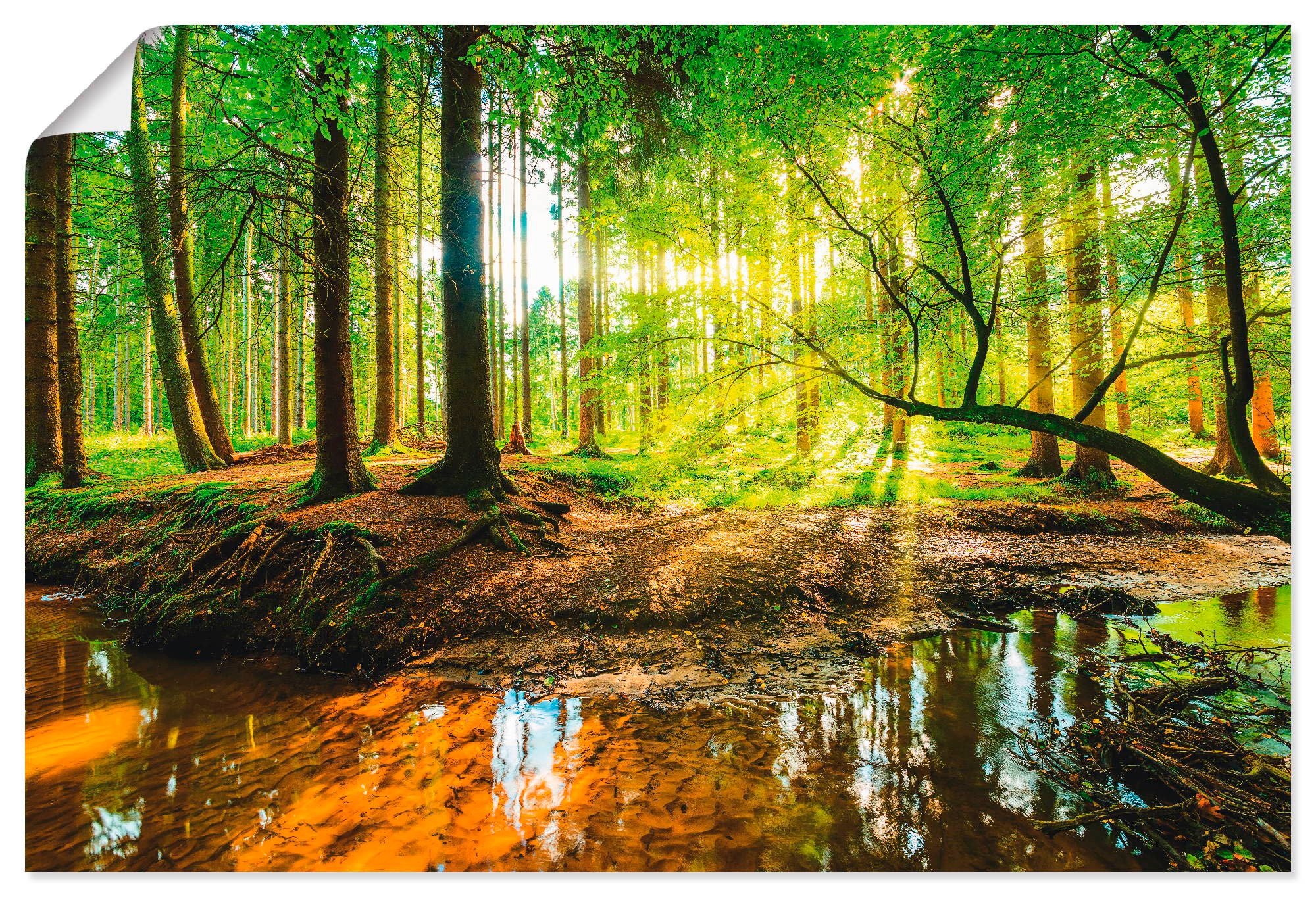 Image of Artland Wandbild "Wald mit Bach" Wald 1 Stk. tlg. als Alubild, Leinwandbild, Poster in verschied. Grössen