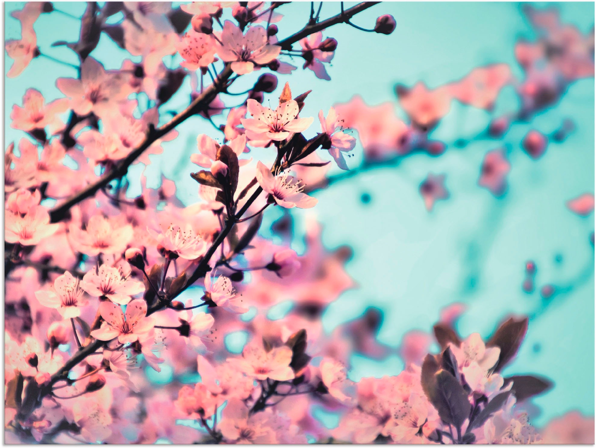 Image of Artland Wandbild »Kirschblüten Romantik«, Blumen, (1 St.), in vielen Grössen & Produktarten - Alubild / Outdoorbild für den Aussenbereich, Leinwandbild, Poster, Wandaufkleber / Wandtattoo auch für Badezimmer geeignet bei Ackermann Versand Schweiz