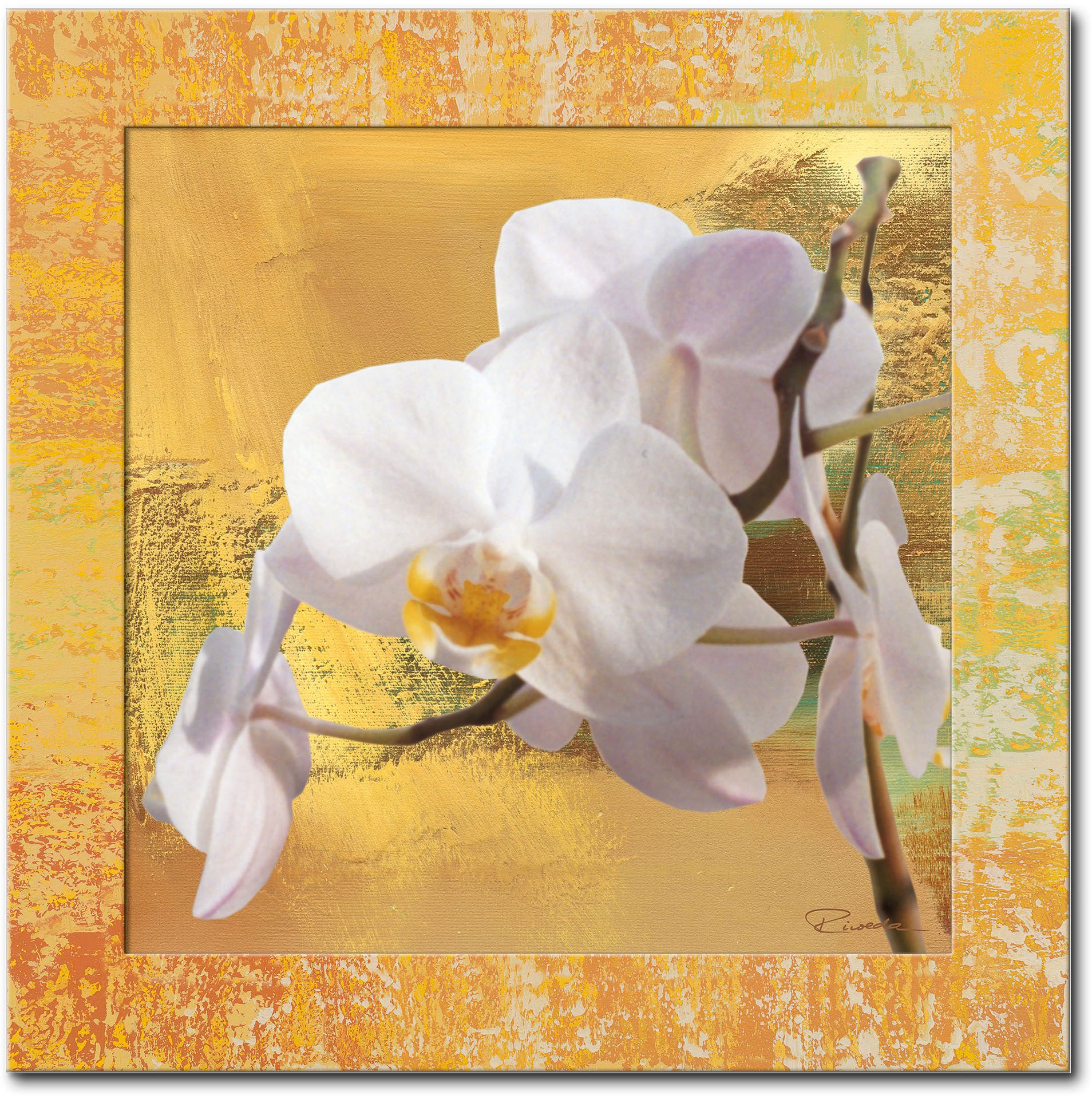 Image of Artland Wandbild »Weisse Orchidee I«, Blumen, (1 St.) bei Ackermann Versand Schweiz