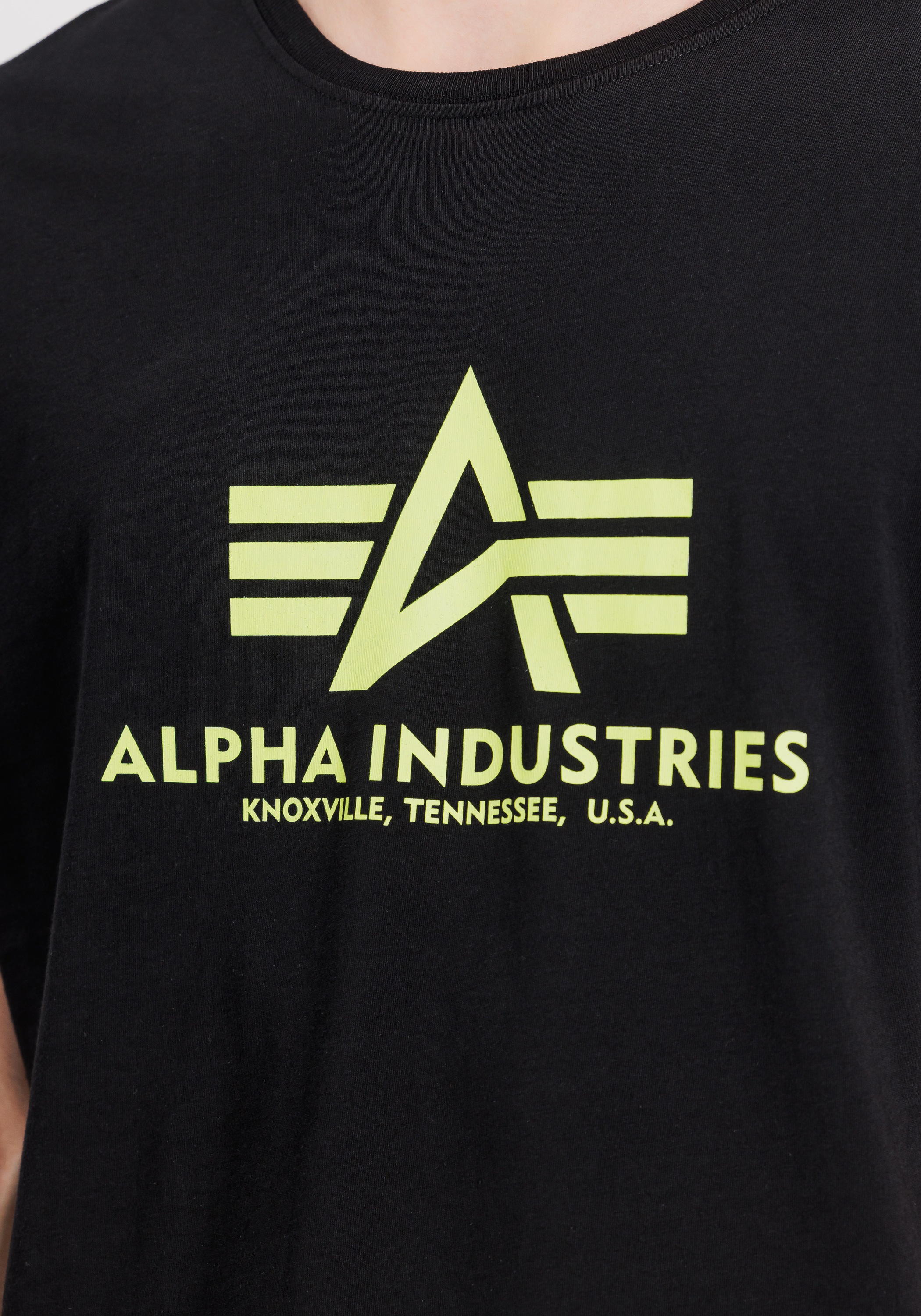 Alpha Industries T-Shirt »Basic T-Shirt BL Neon Print«