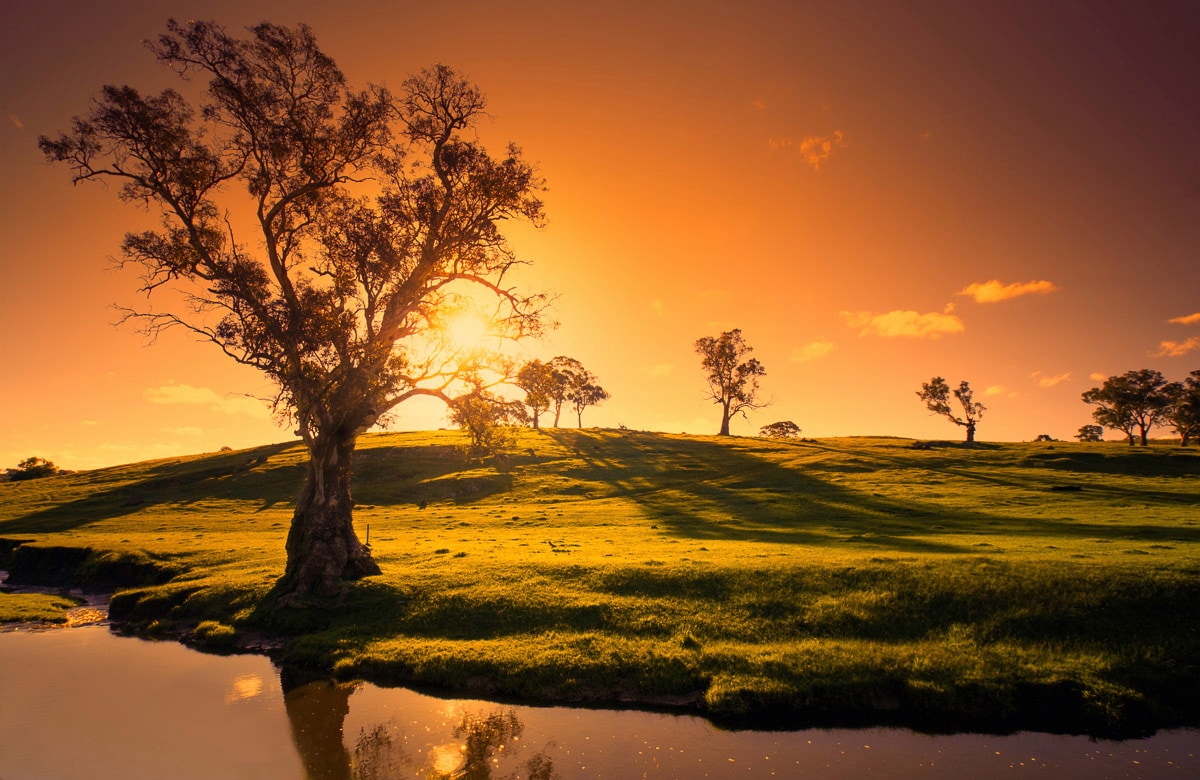 Image of Papermoon Fototapete "Landschaft mit Fluss"