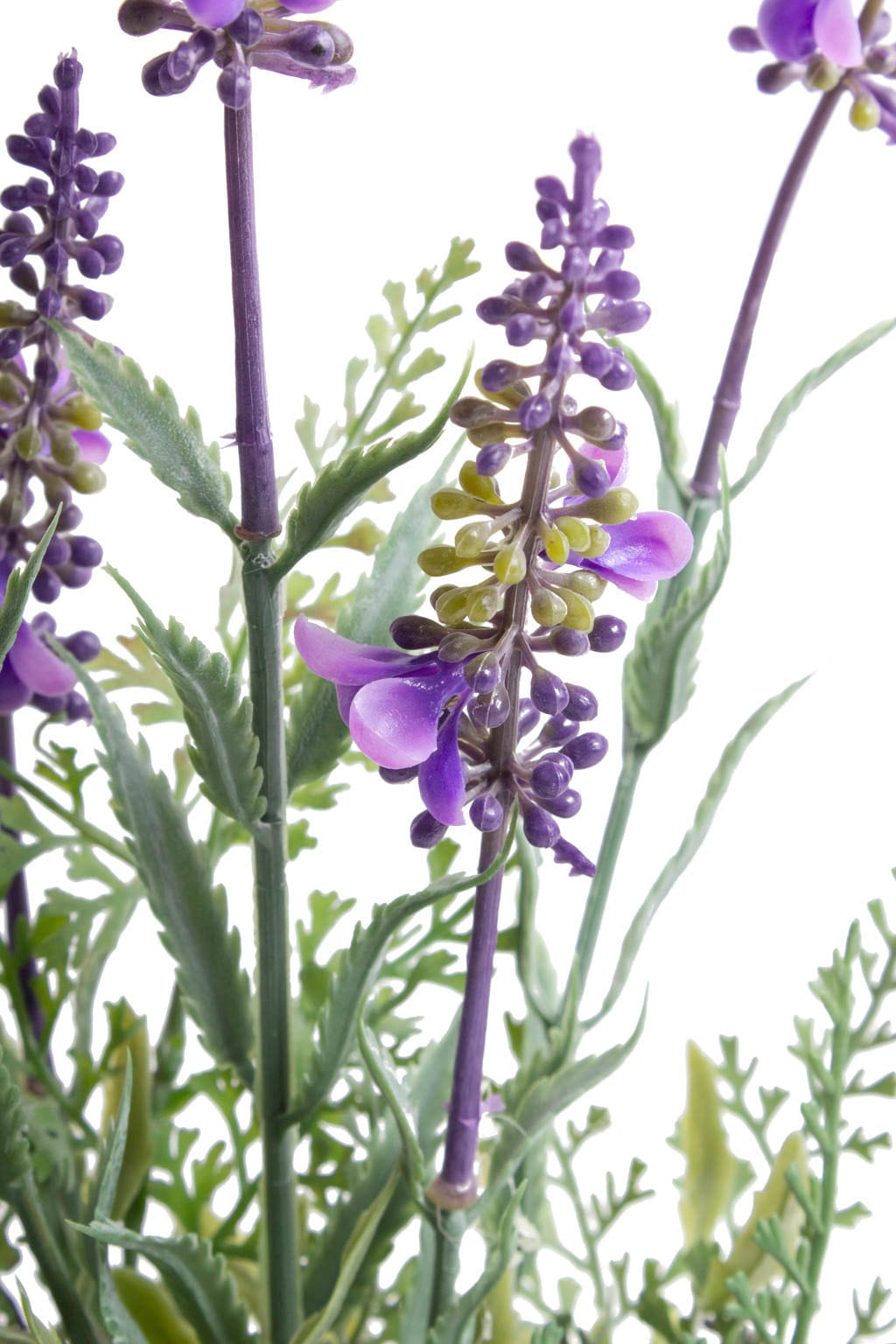 Zimmerpflanze kaufen günstig »Lavendel« Künstliche Botanic-Haus