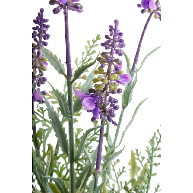 Botanic-Haus Künstliche Zimmerpflanze »Lavendel« günstig kaufen