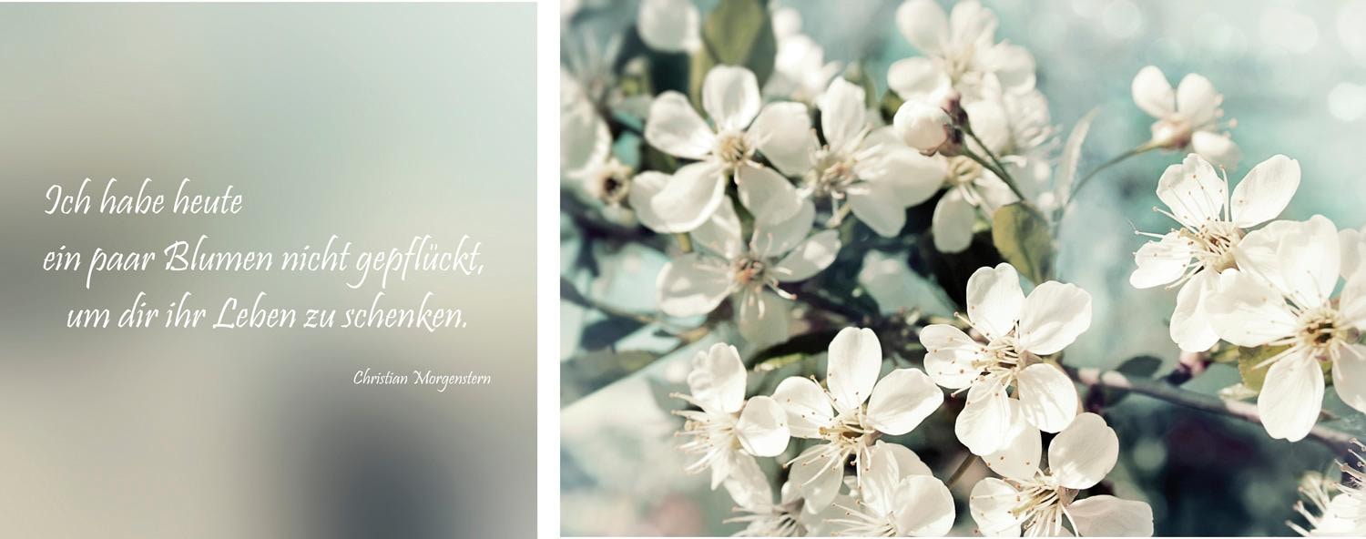 Image of queence Leinwandbild "Leben geschenkt" Blumen Blumenbilder Kunst Modern Schriftzug Schriftzüge Spa Spa Bilder Sprüche Sprüche & Texte Set, Premium-Leinwandstoff, Handarbeit aus Deutschland, Zitat, 2er Set