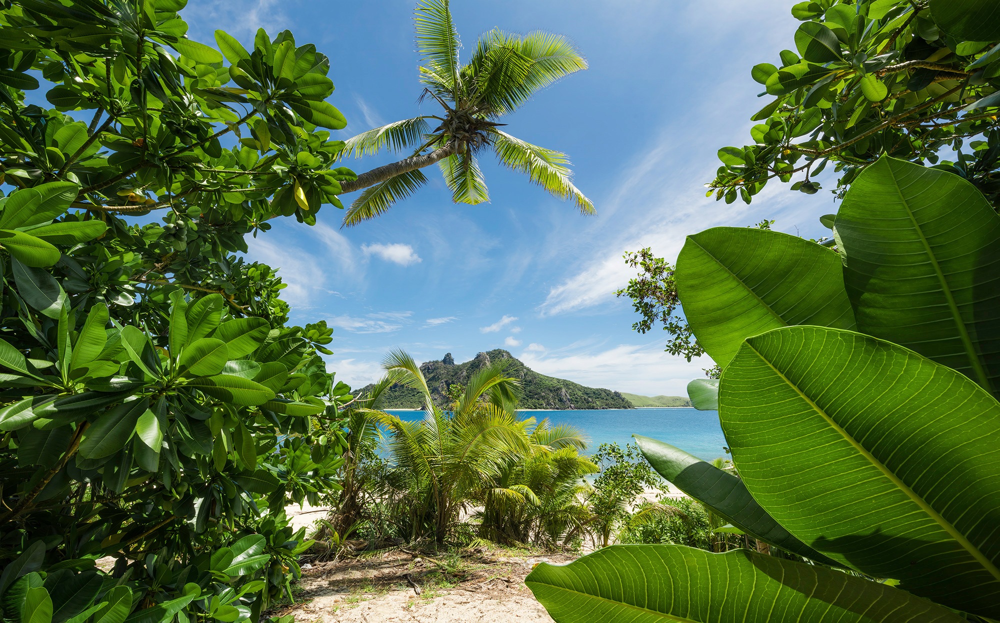 Image of Komar Fototapete »Cast Away Jungle«, mehrfarbig-natürlich-bedruckt bei Ackermann Versand Schweiz
