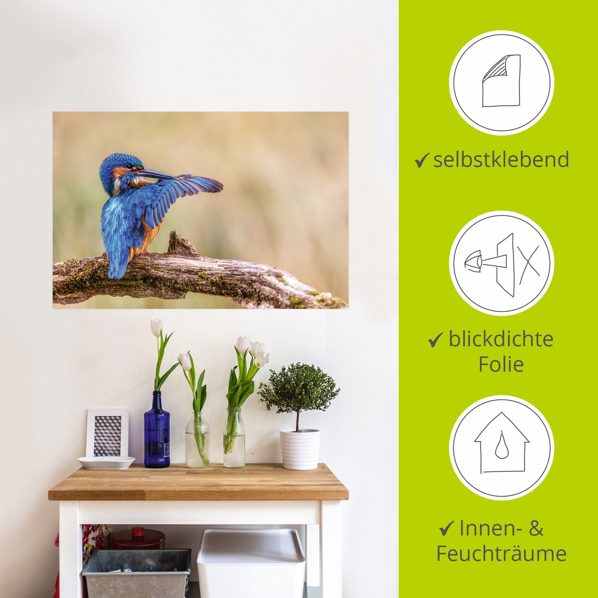 Artland Alu-Dibond-Druck »Eisvogel II«, Vogelbilder, (1 St.), selbstklebend