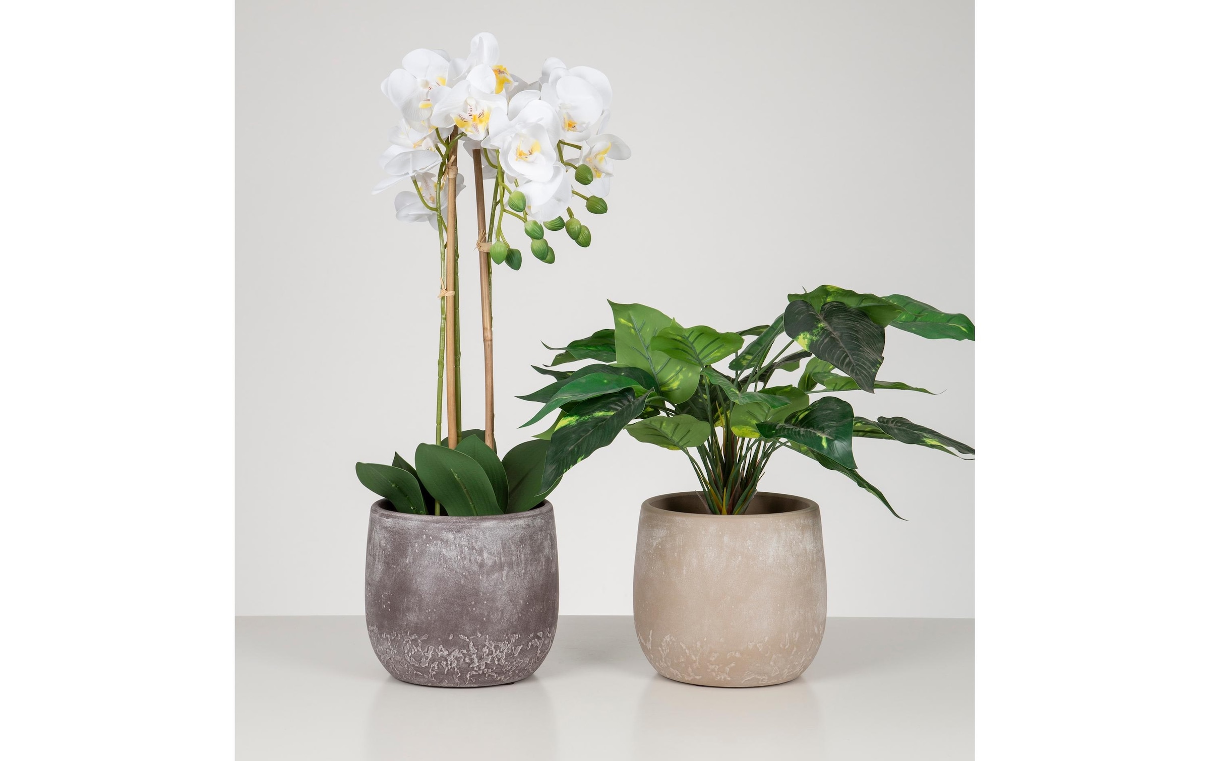 Scheurich Blumentopf »Dune 6,1 l«
