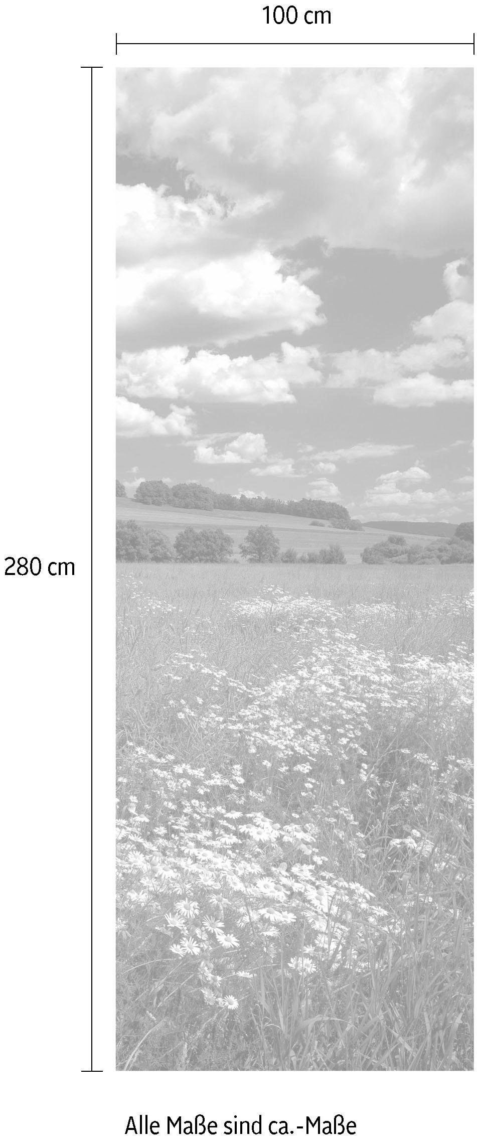 Komar Vliestapete »Digitaldruck Vlies - Meadow - Grösse 100 x 280 cm«, bedruckt, Wohnzimmer, Schlafzimmer