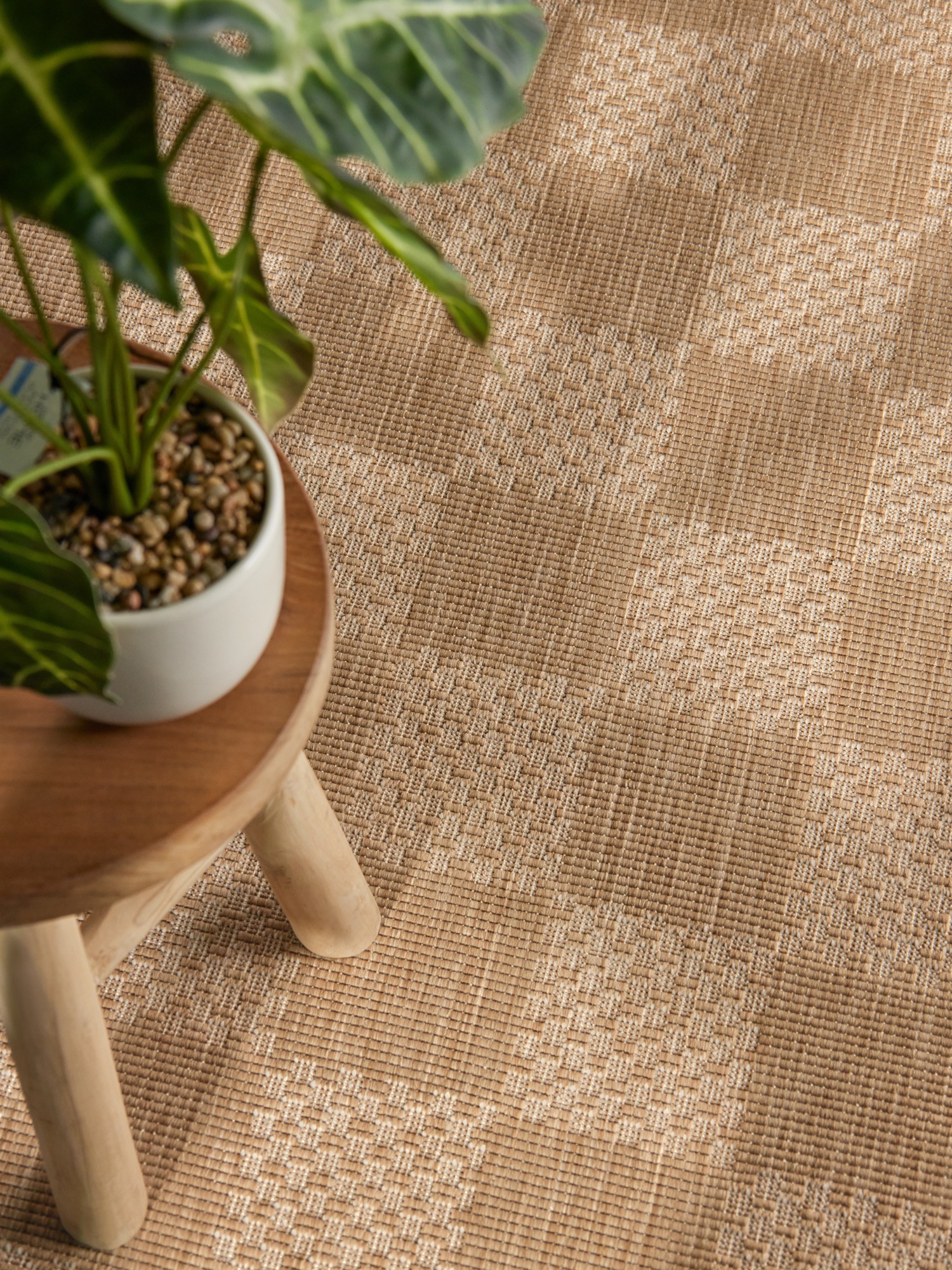 Ted Baker Teppich »Dorothy , Wendeteppich« rechteckig 8 mm Höhe Designteppich, Wetterfest, Pflegeleicht, Modern, Wohnzimmer, Terrasse