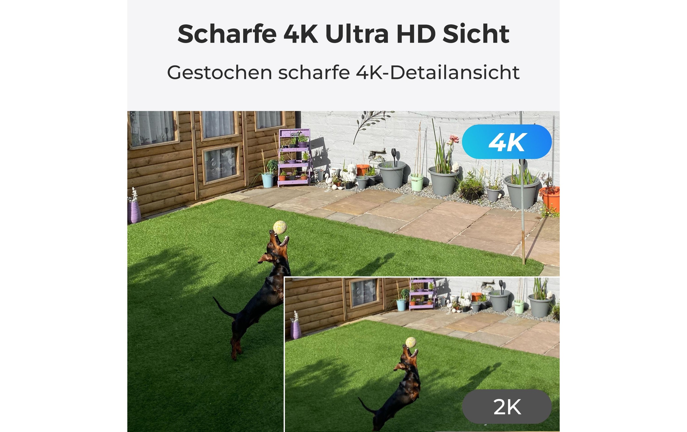 Reolink Überwachungskamera "B350 Weiss, inkl, Solarpanel" Aussenbereich