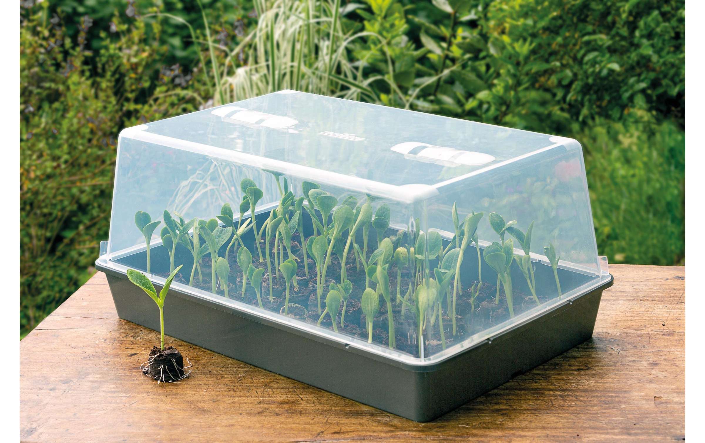   Serre »Romberg XXL mit Belüftung,stabil,lose Ware«