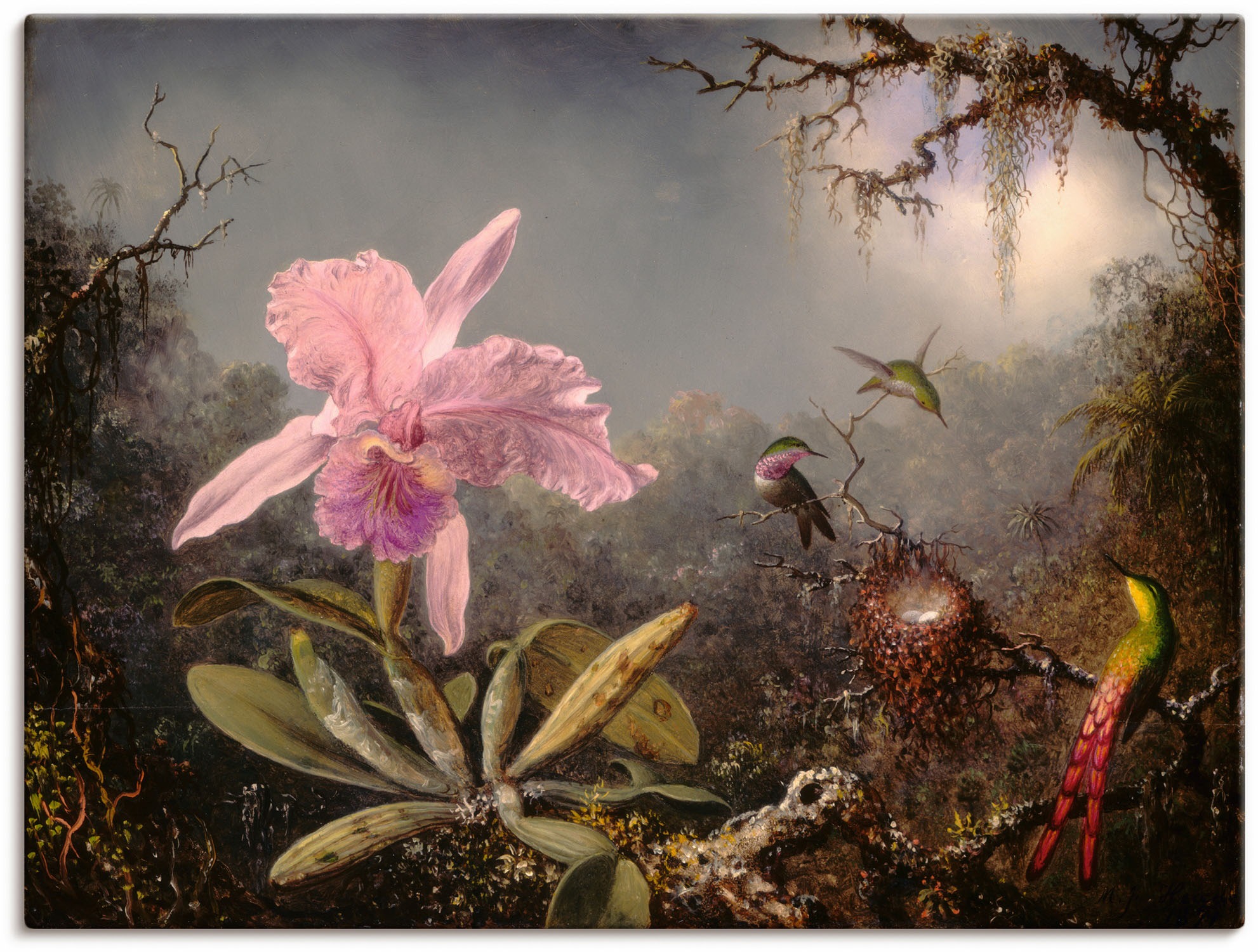 Image of Artland Leinwandbild "Cattleya Orchidee und drei Kolibris." Blumenbilder 1 Stk. tlg. auf Holzrahmen gespannt
