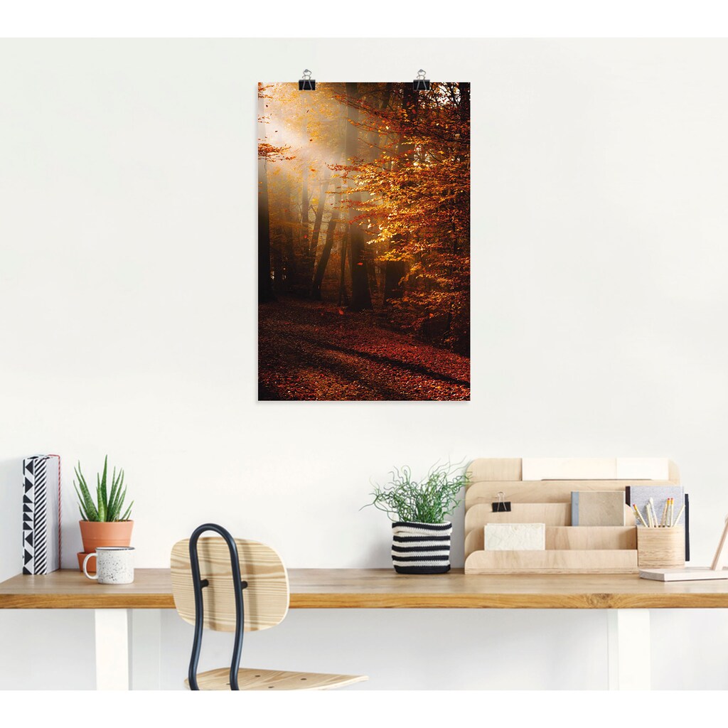Artland Wandbild »Sonnenaufgang im Herbst«, Wald, (1 St.), als Leinwandbild, Poster in verschied. Grössen