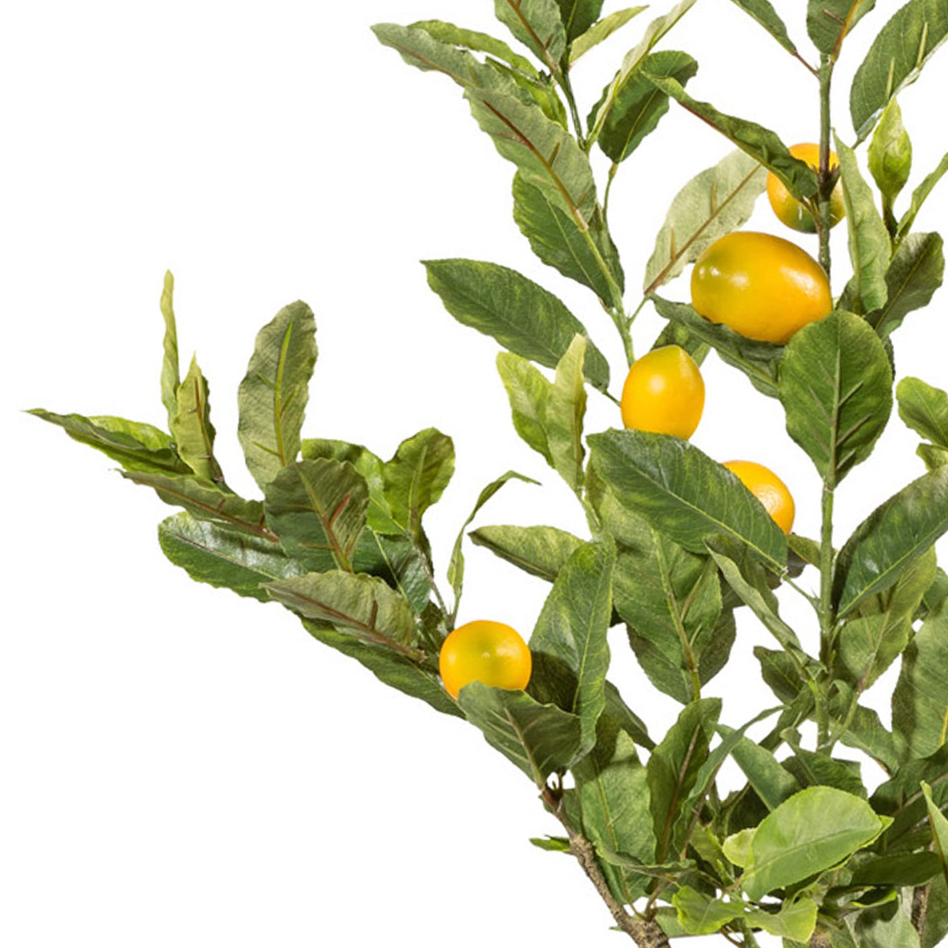 Creativ green Kunstbaum »Zitrone« mit detailgetreuer Gestaltung