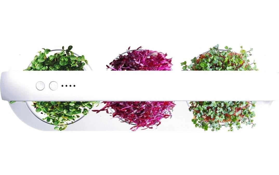 Click and Grow Pflanzschale »MicroBuddy, 38 cm« Kompakter Indoor-Kultivator für frische Microgreens