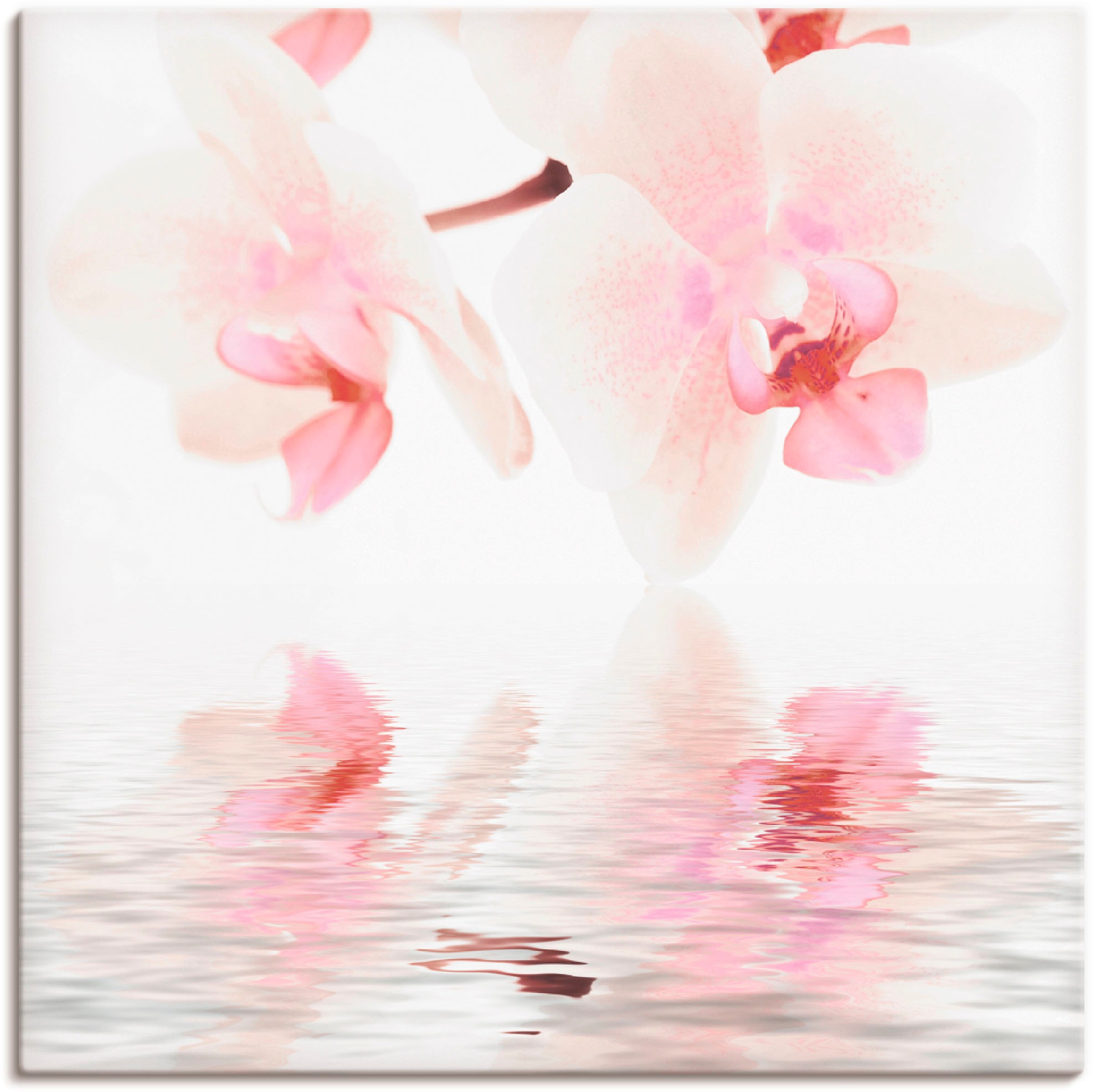 Image of Artland Wandbild »Orchidee abstrakte Collage III«, Blumen, (1 St.), in vielen Grössen & Produktarten -Leinwandbild, Poster, Wandaufkleber / Wandtattoo auch für Badezimmer geeignet bei Ackermann Versand Schweiz