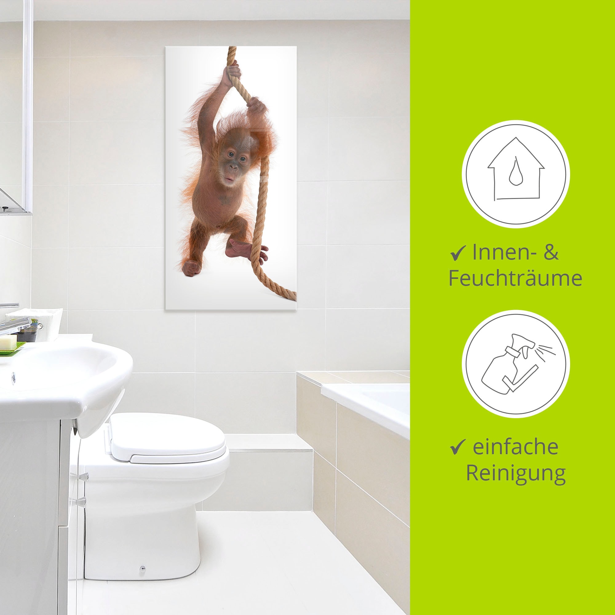 Artland Glasbild »Baby Orang Utan hängt am Seil I« Wildtiere 1 Stk. tlg. in verschiedenen Grössen