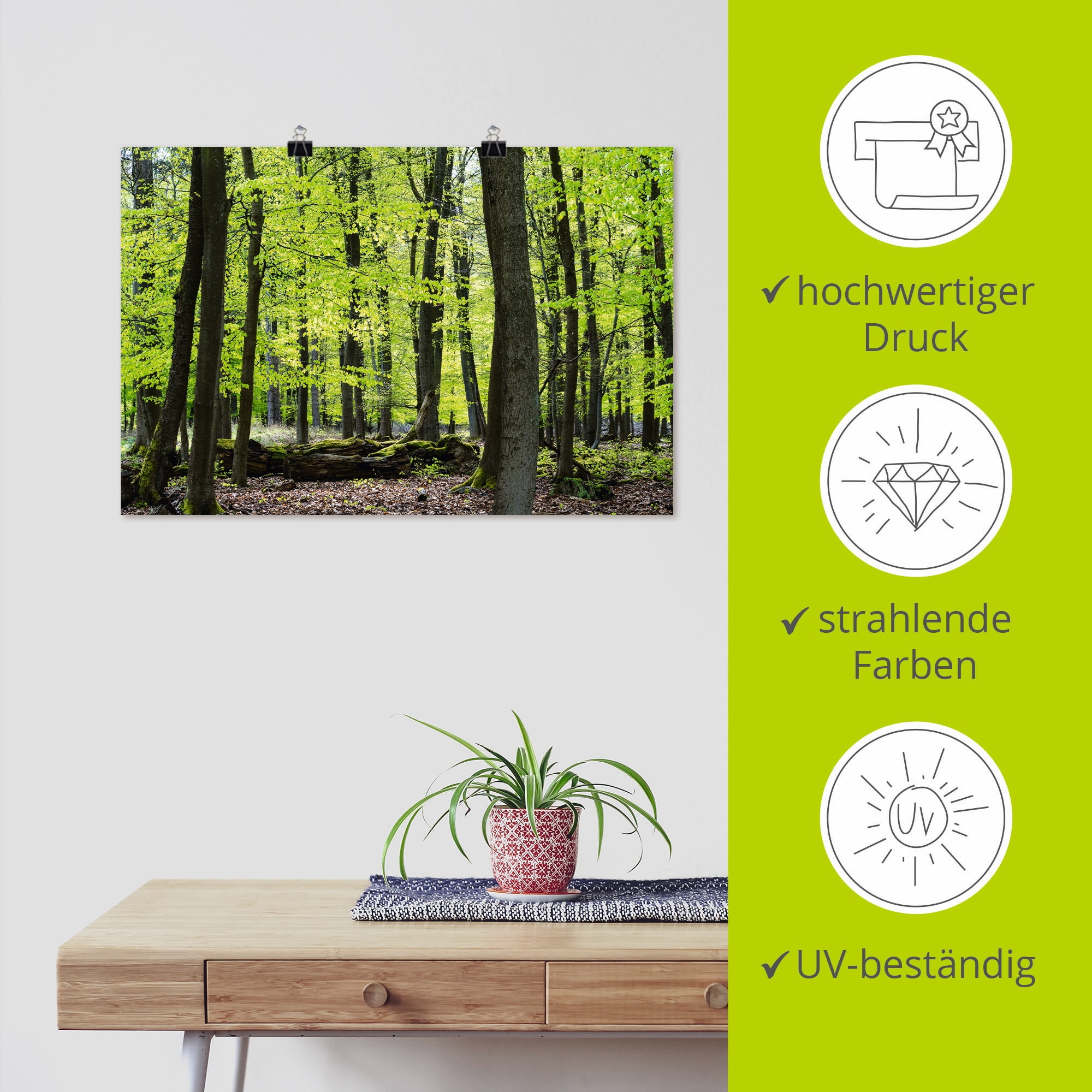 Artland Poster »Laubwald im Frühjahr«, Wald, (1 St.), als Alubild, Leinwandbild, Wandaufkleber oder Poster in versch. Grössen