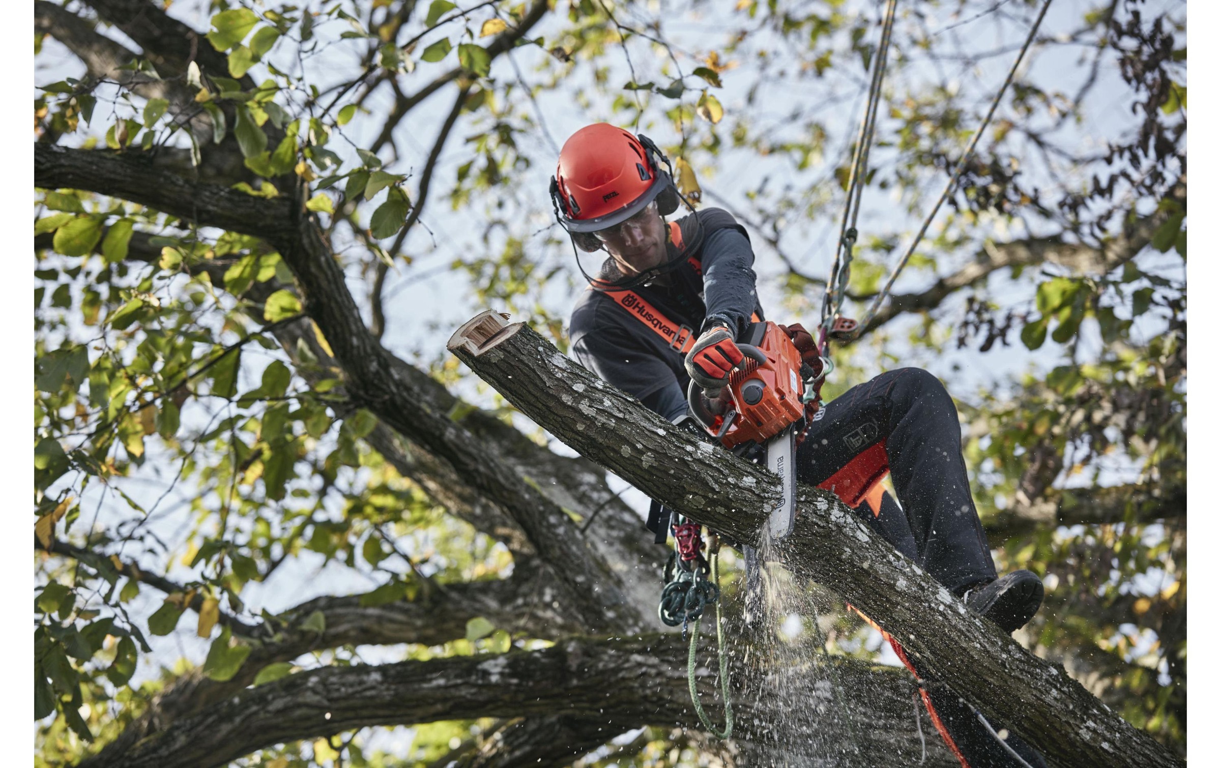 Husqvarna Tronçonneuse à batterie »T535 i XP Solo«