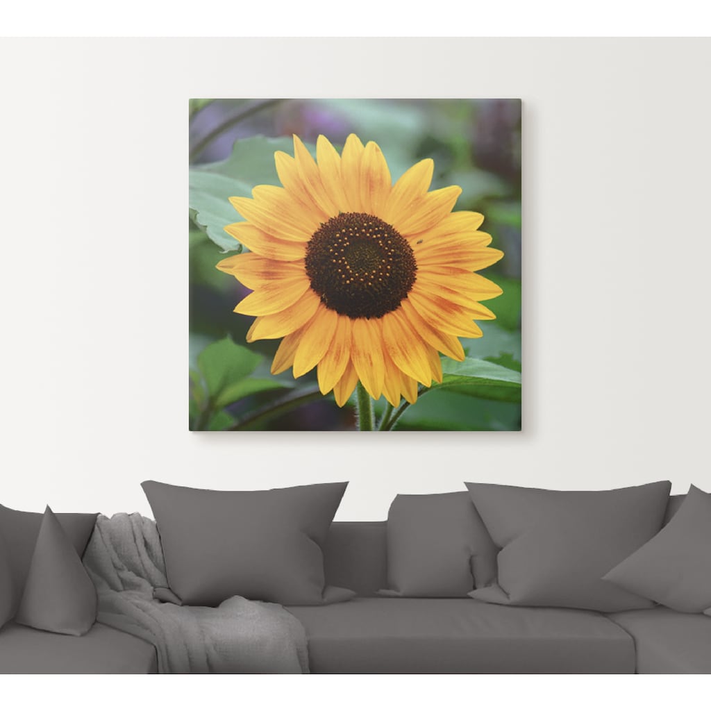 Artland Leinwandbild »Sonnenblume«, Blumen, (1 St.)